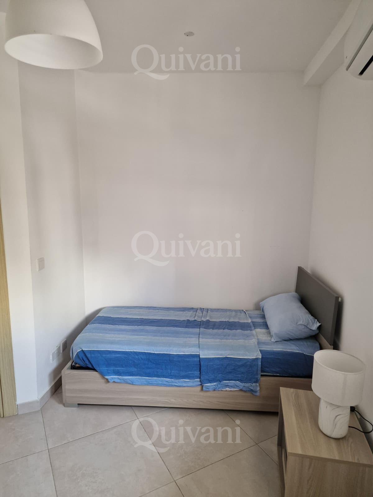 Msida, Furnished Penthouse