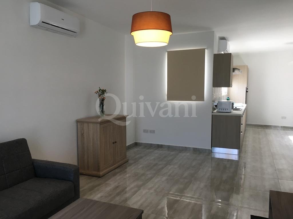 Msida, Furnished Penthouse