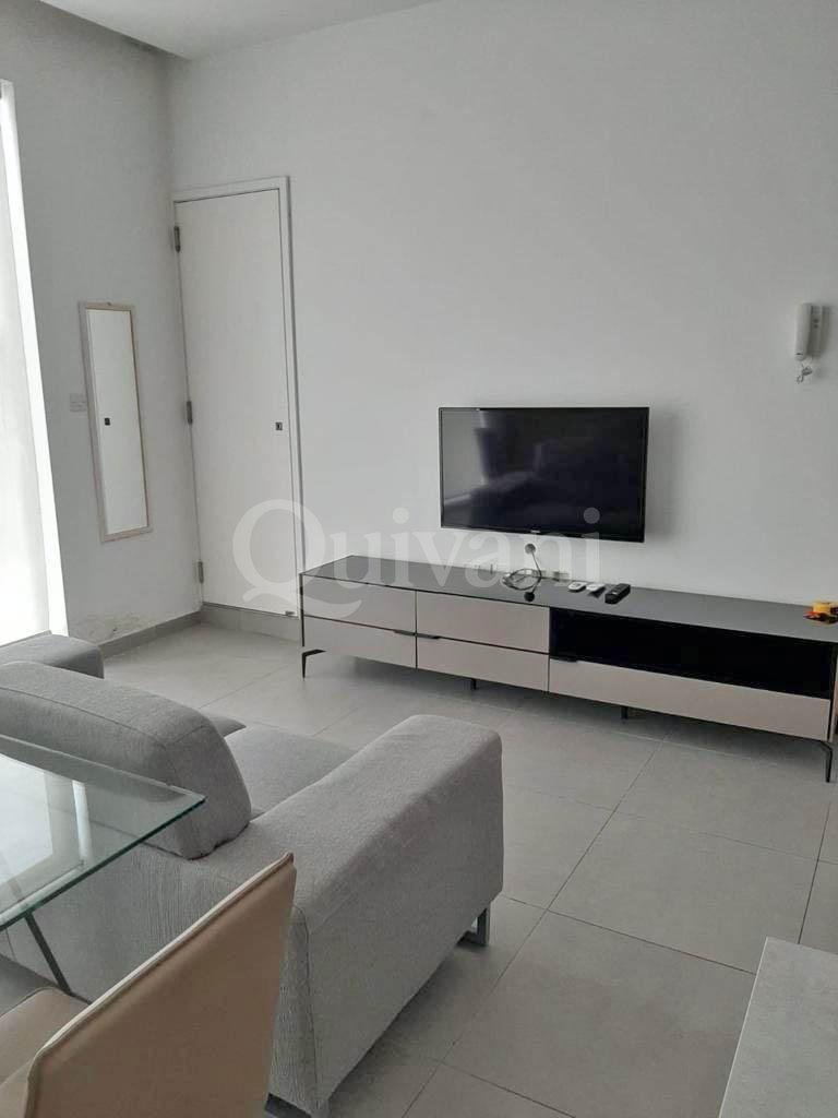 Sliema, Furnished Penthouse