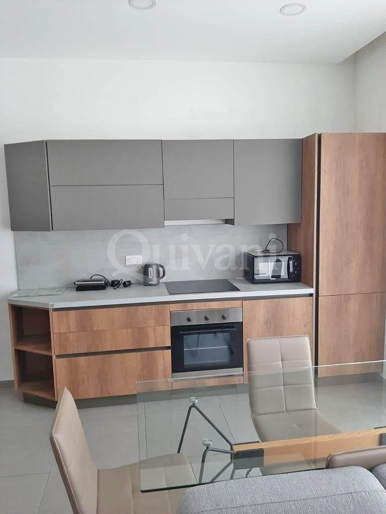Sliema, Furnished Penthouse