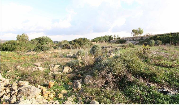 Dingli Agricultural Land