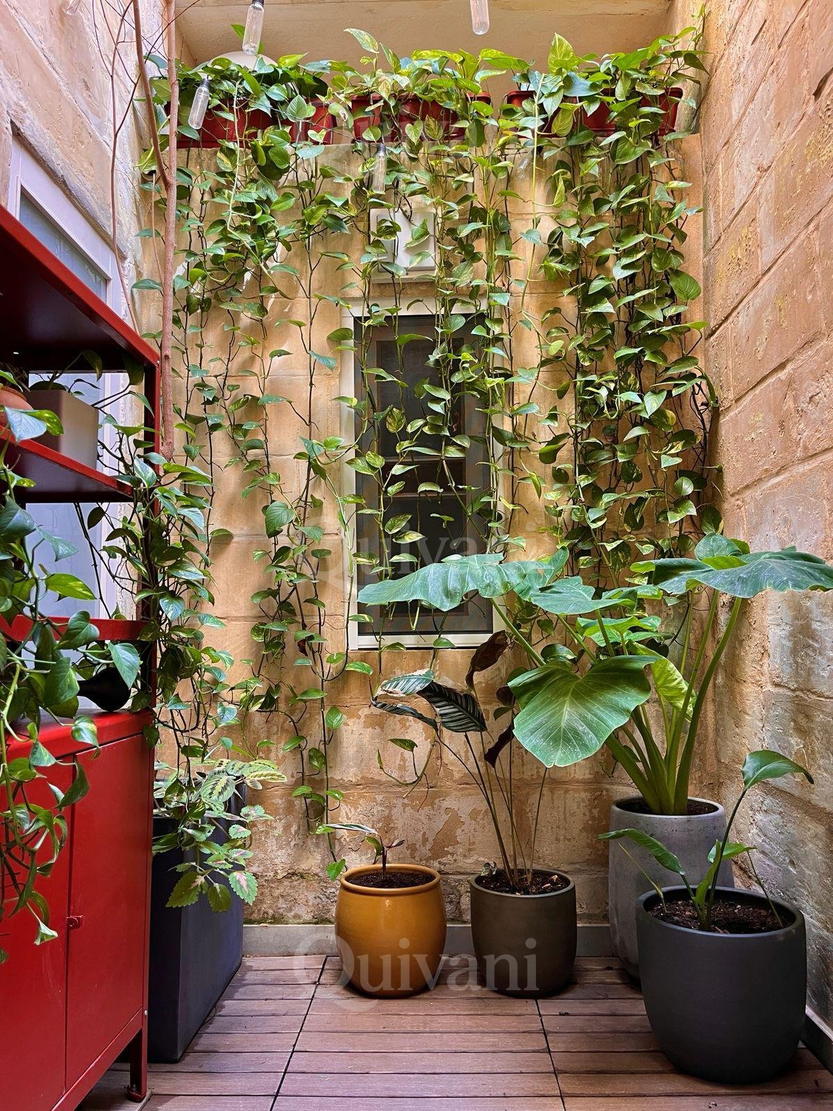 Cospicua, Converted, Townhouse