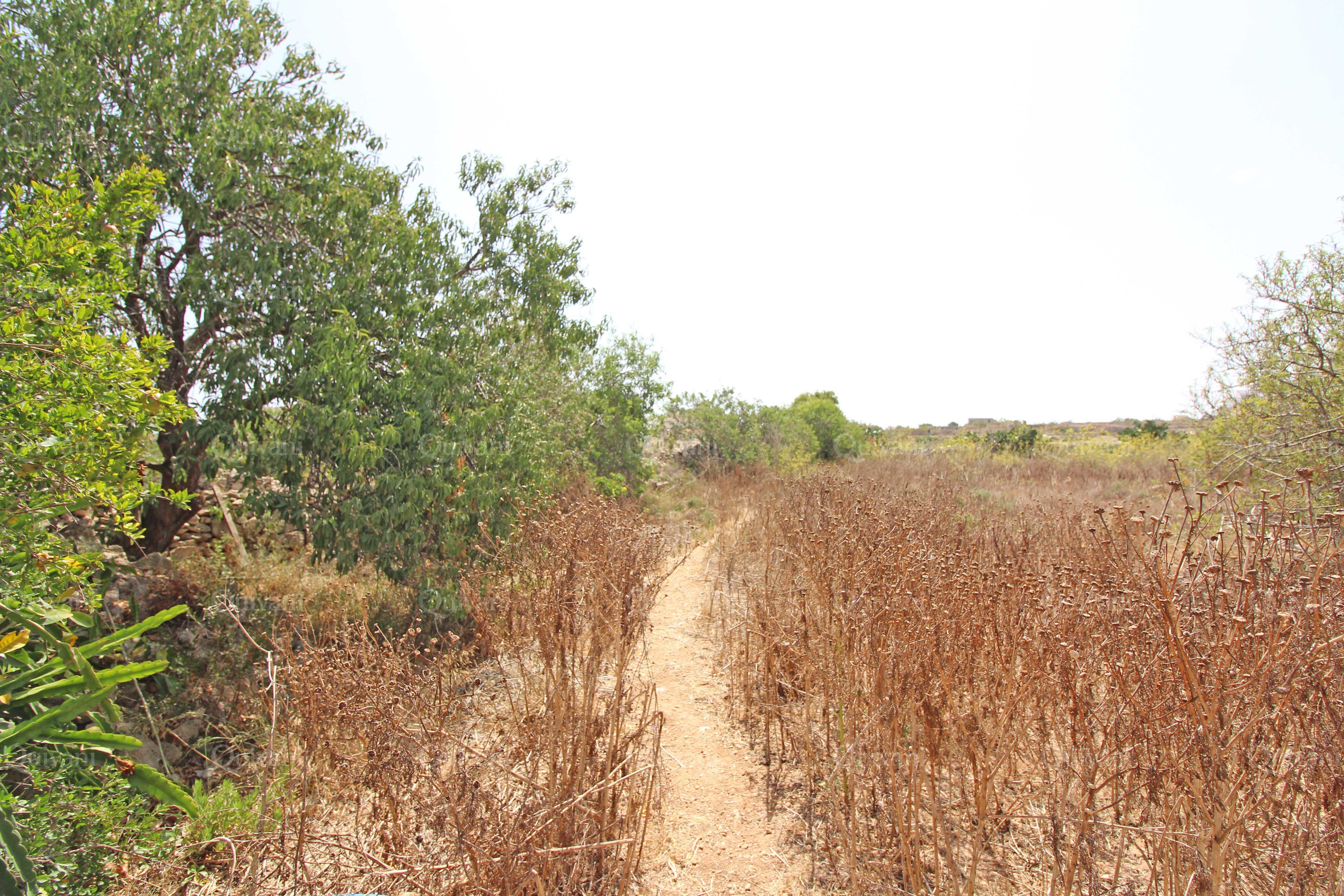 Kalkara, Farmhouse with Land