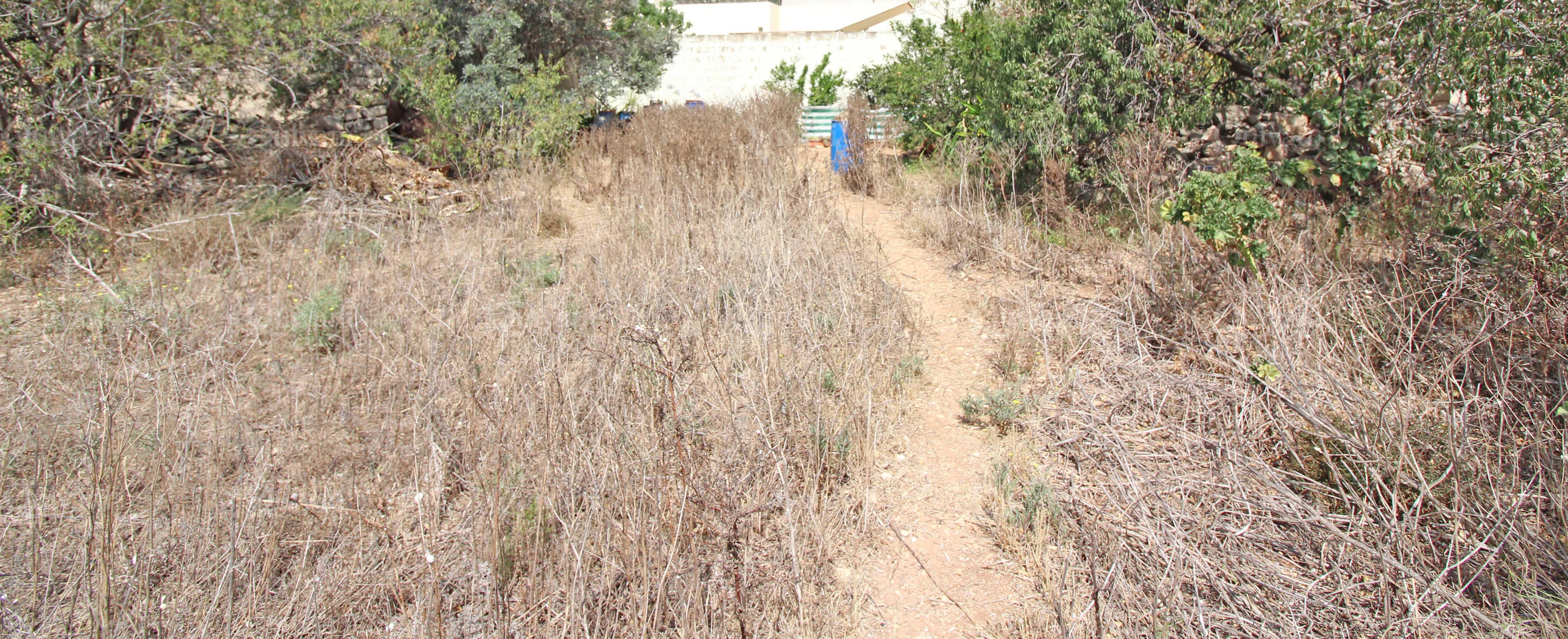 Kalkara, Farmhouse with Land
