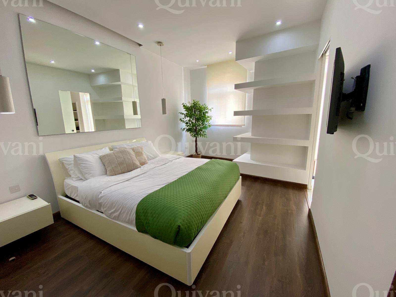 Duplex Penthouse