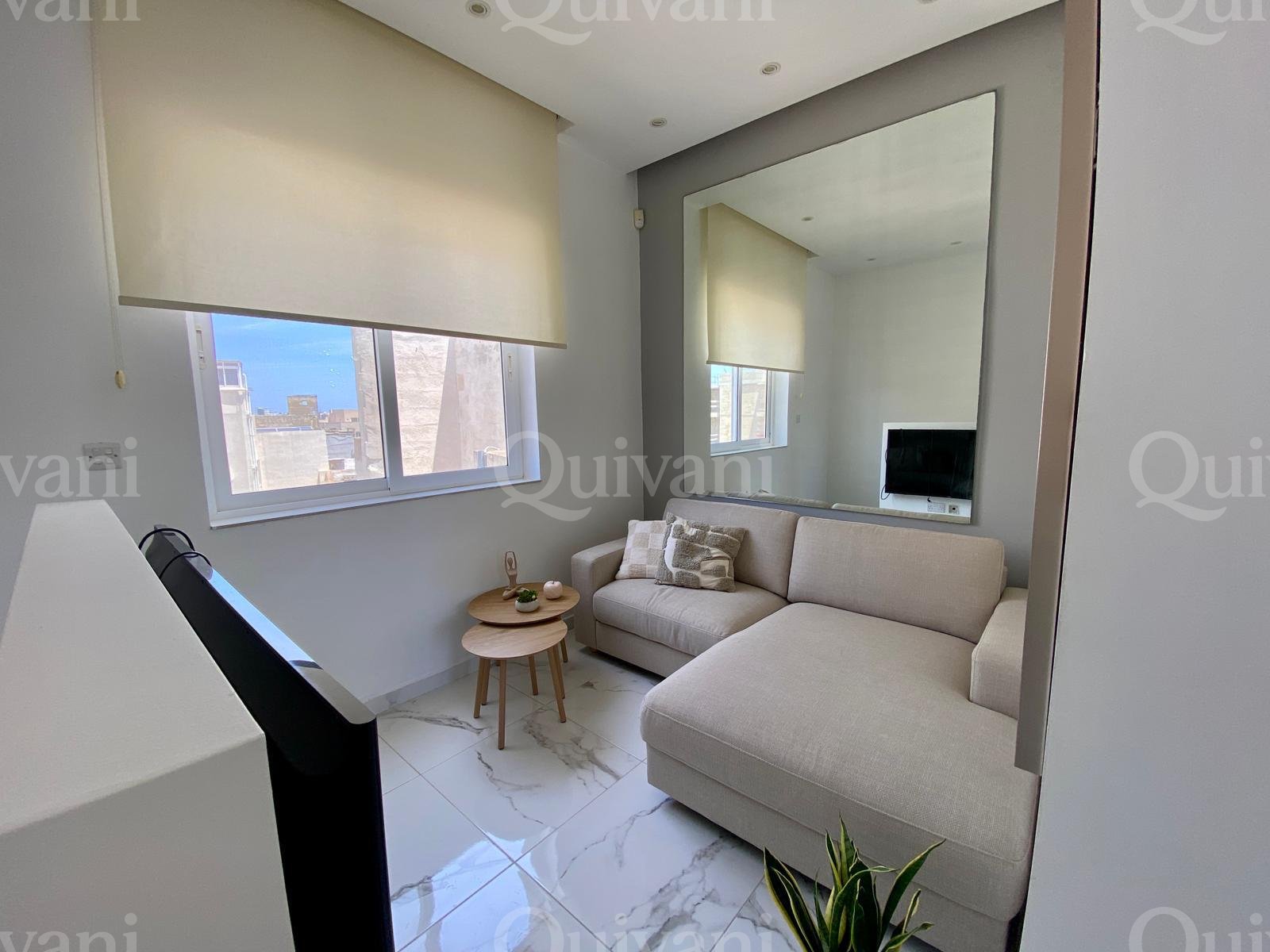 Duplex Penthouse