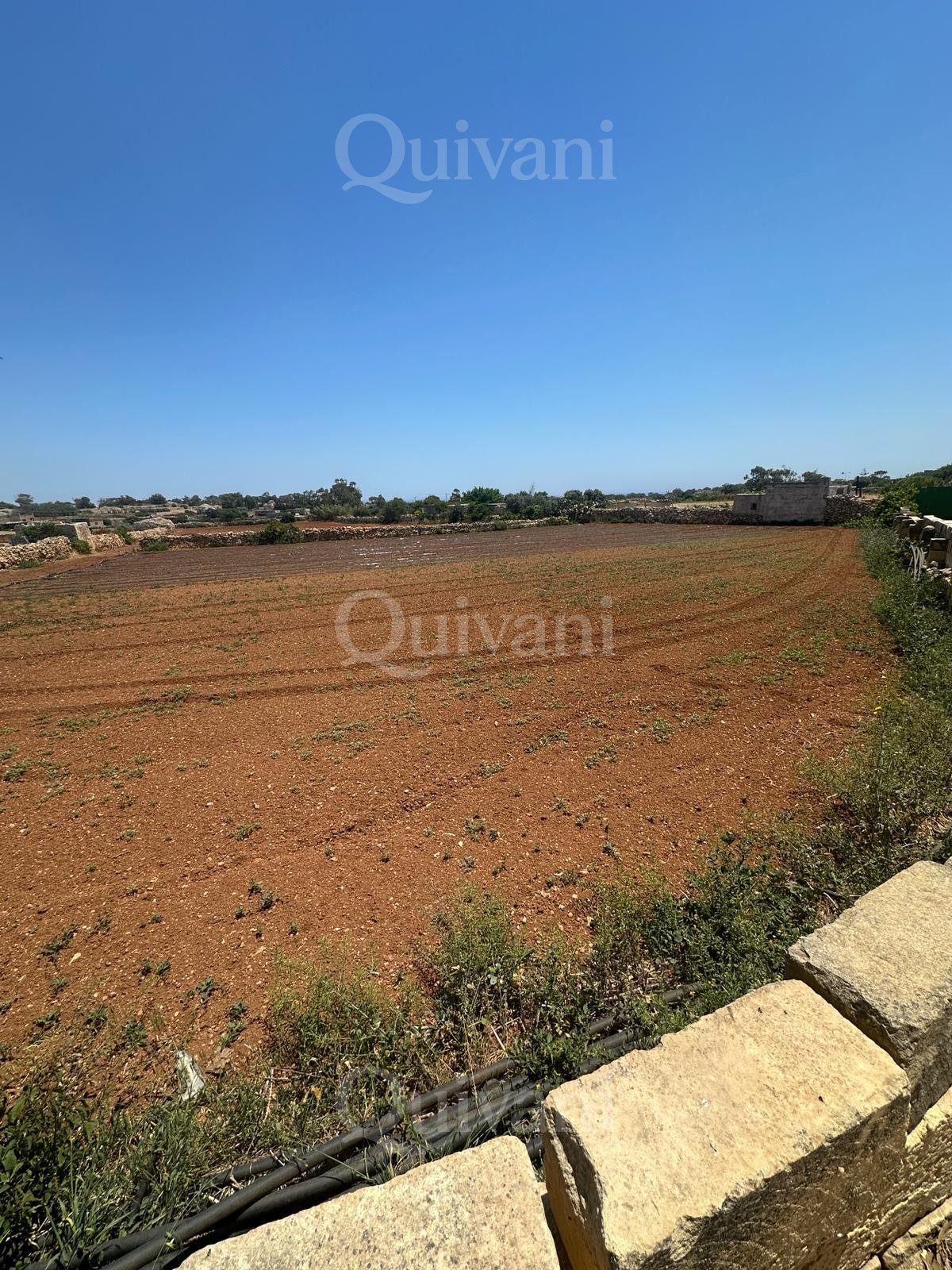 Agricultural Land of 5.5 SQM - Freehold
