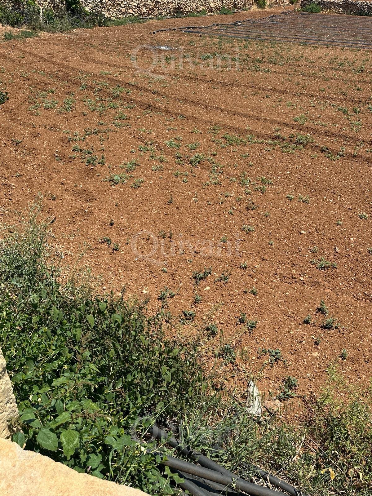 Agricultural Land of 5.5 SQM - Freehold