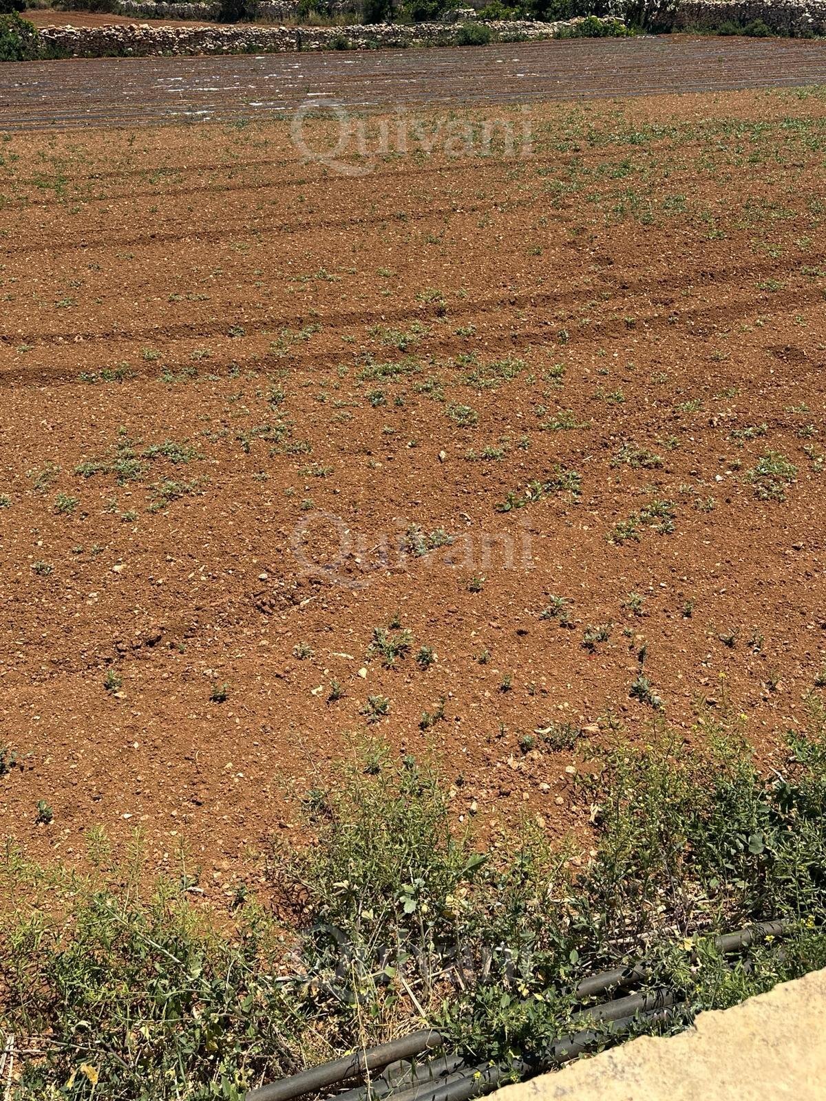 Agricultural Land of 5.5 SQM - Freehold