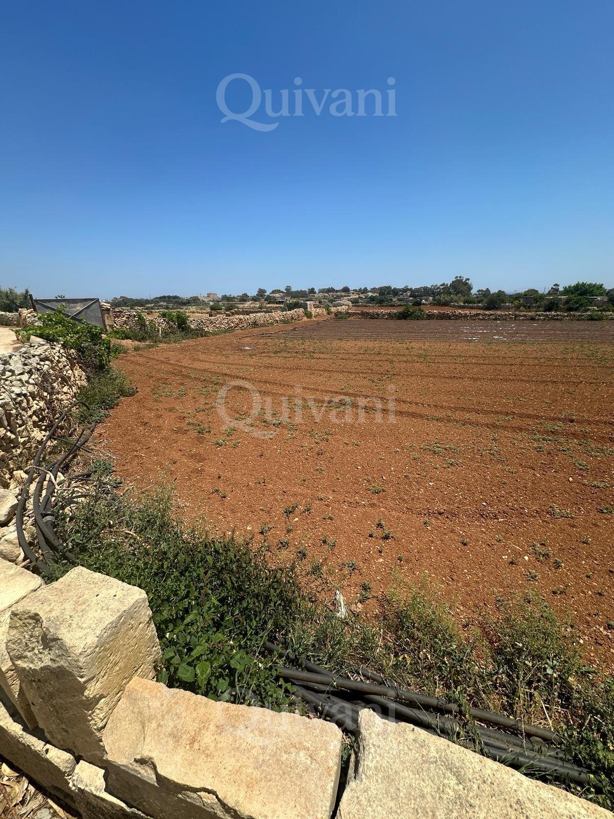 Agricultural Land of 5.5 SQM - Freehold