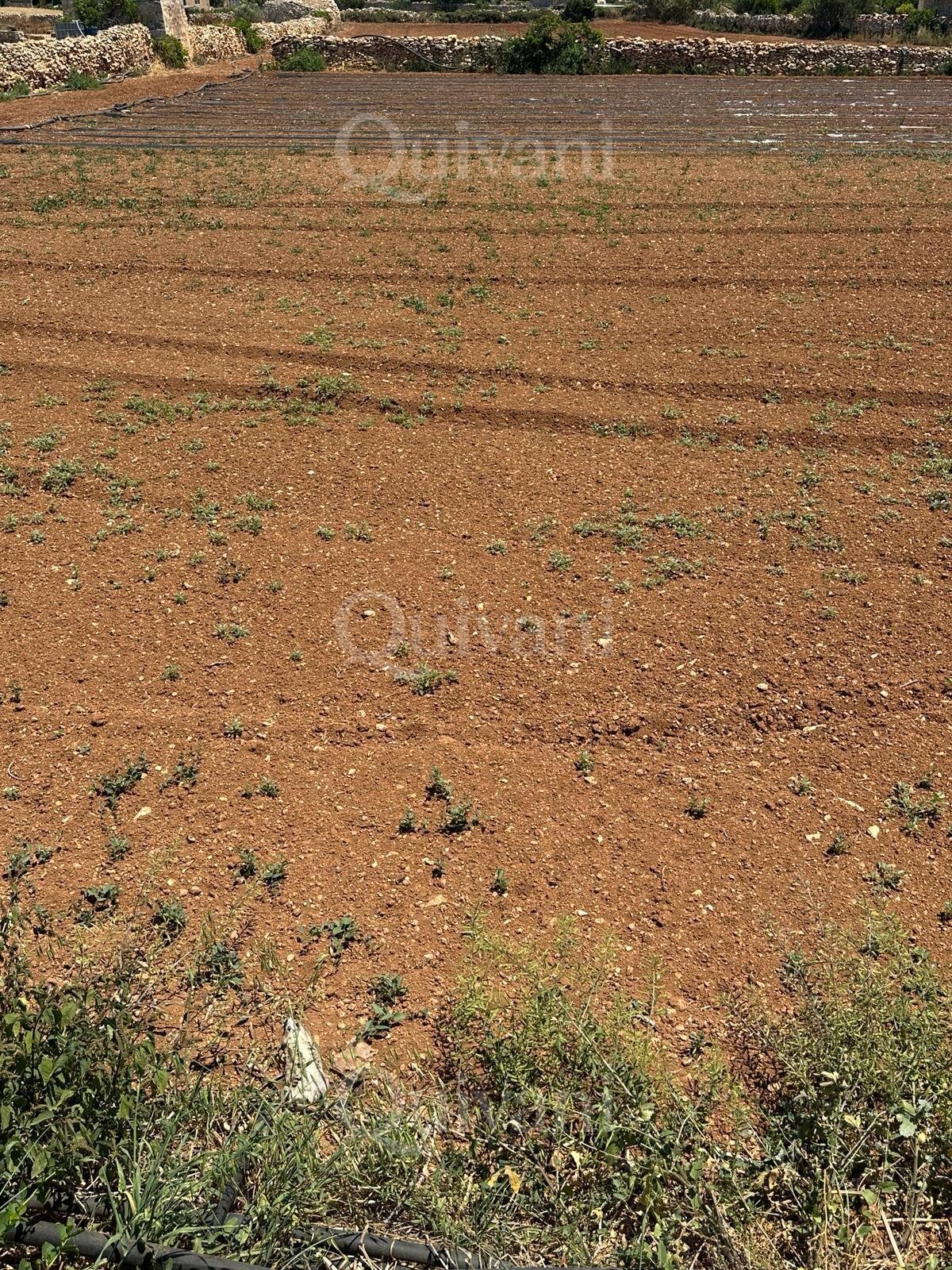 Agricultural Land of 5.5 SQM - Freehold