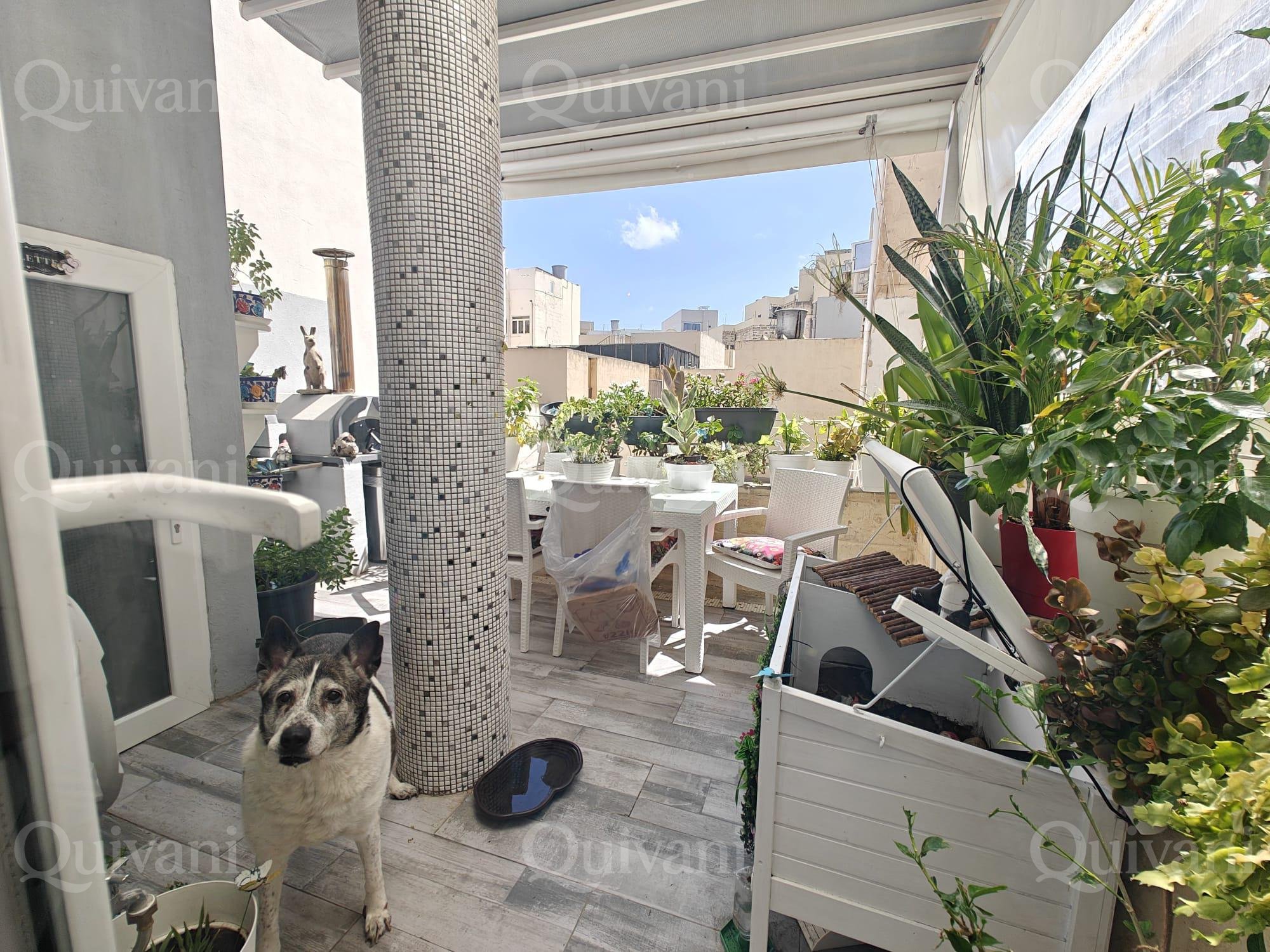 5 bedrooms Town House in Hamrun