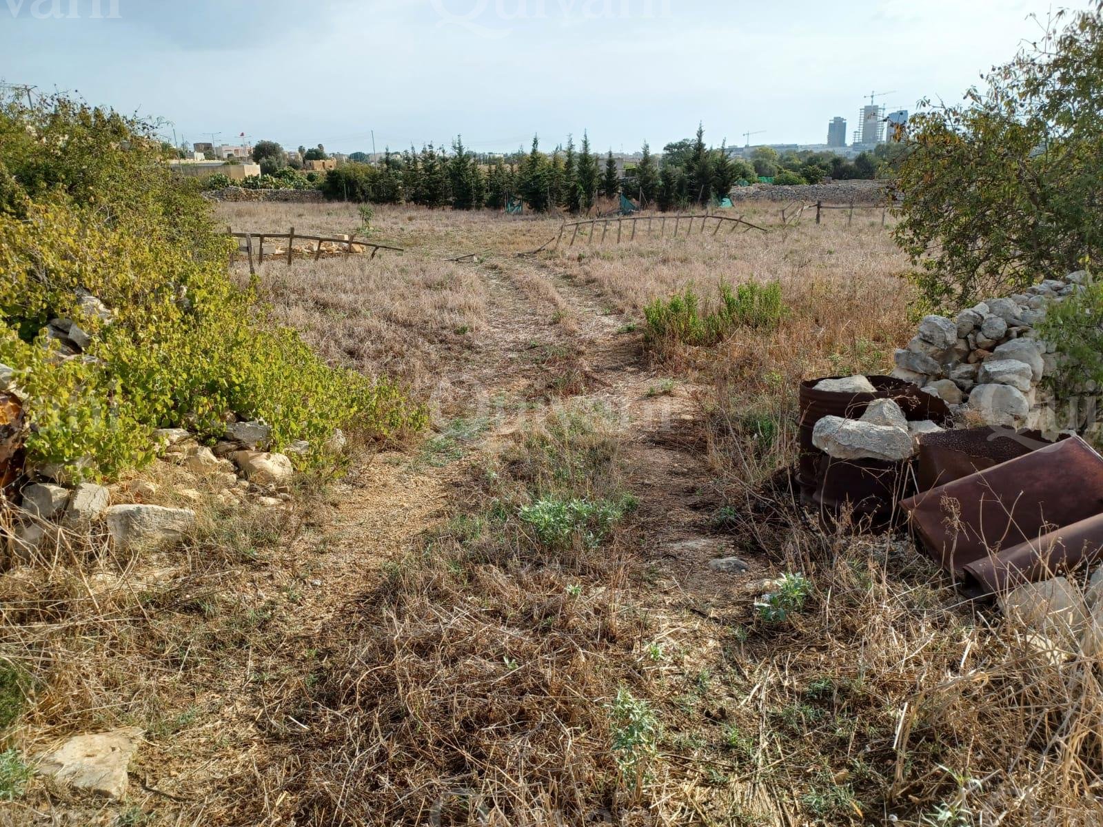 Attard Agricultural Land