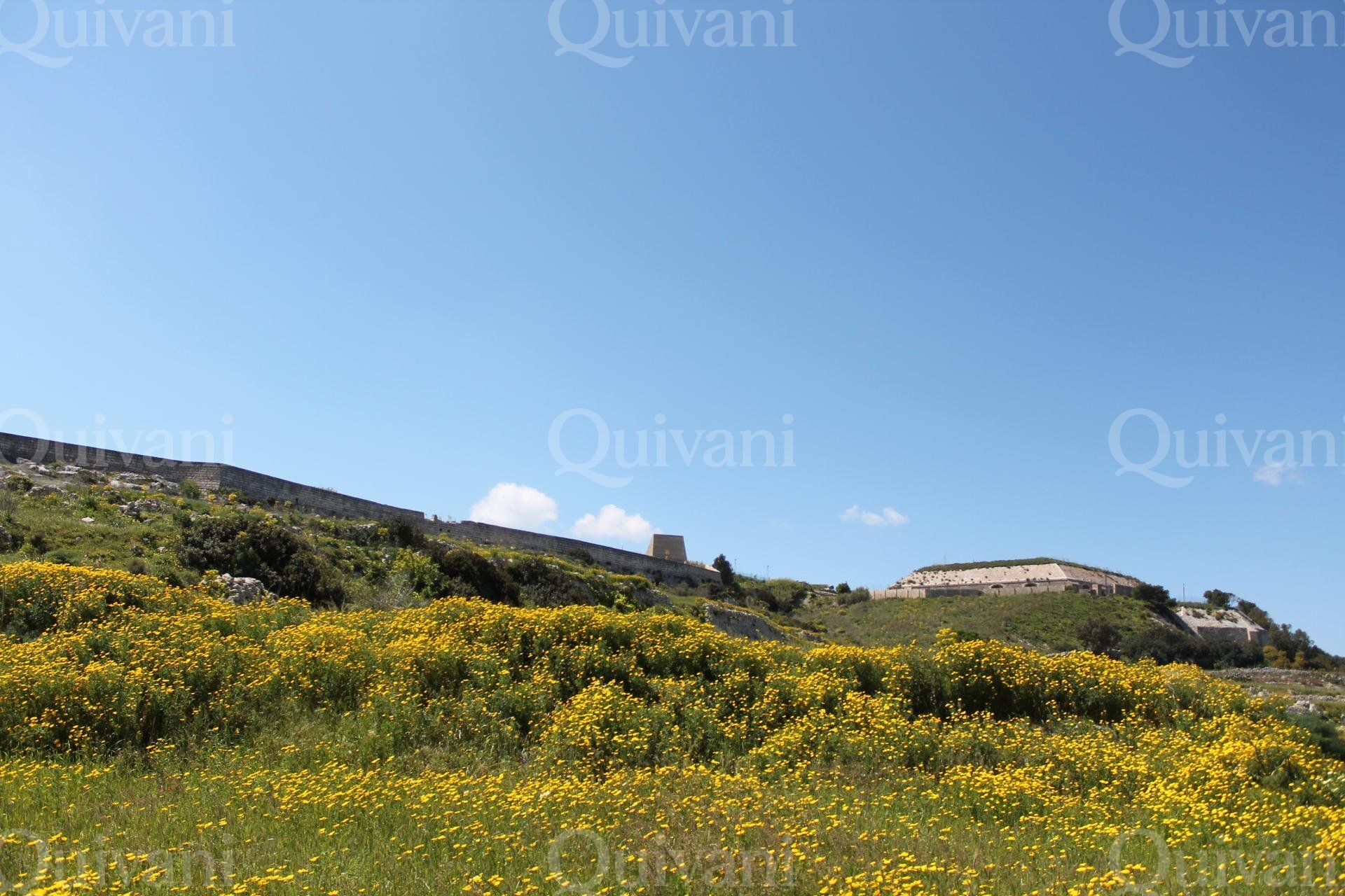 Mosta Agricultural Land