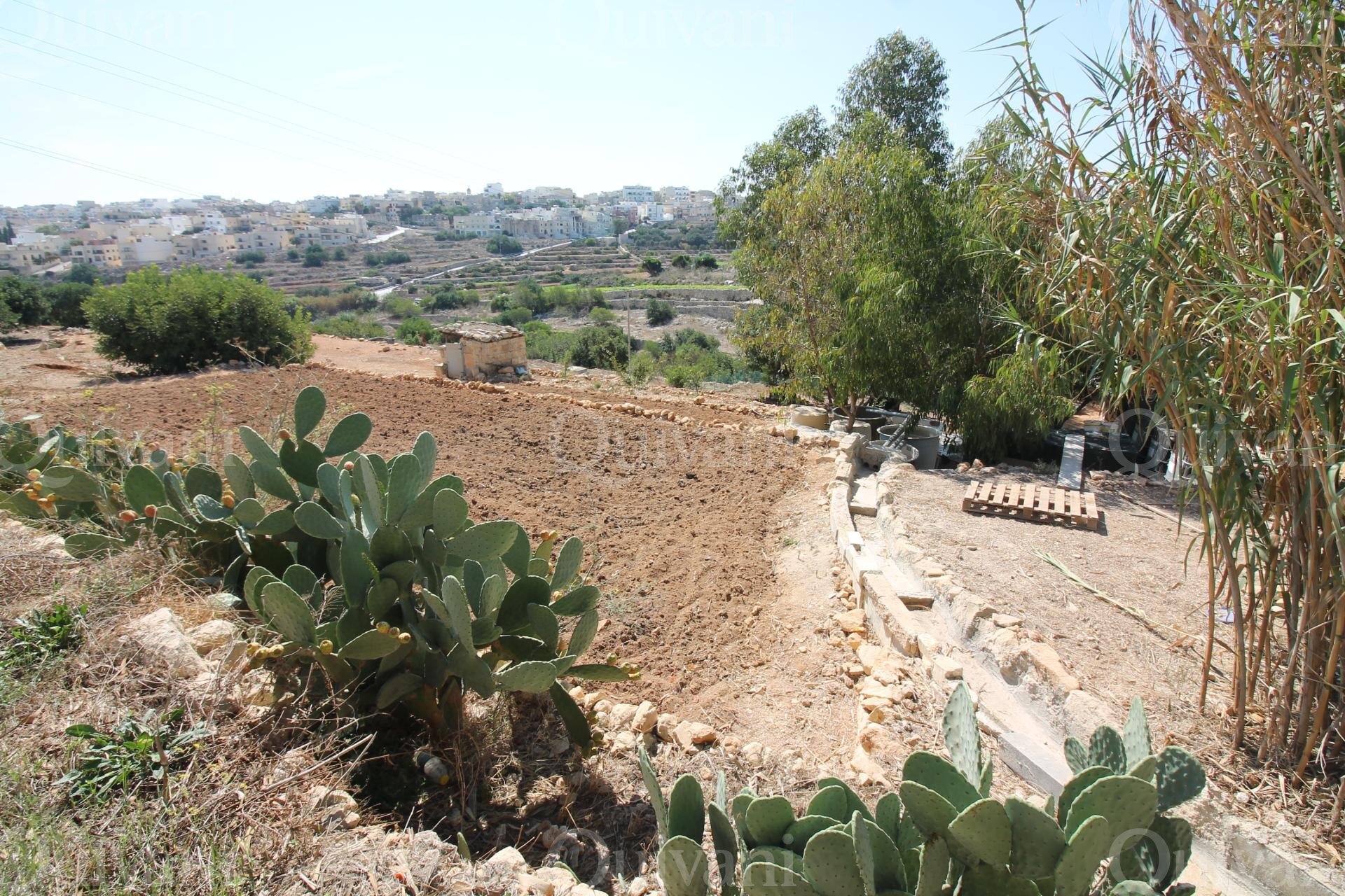 Agricultural Land