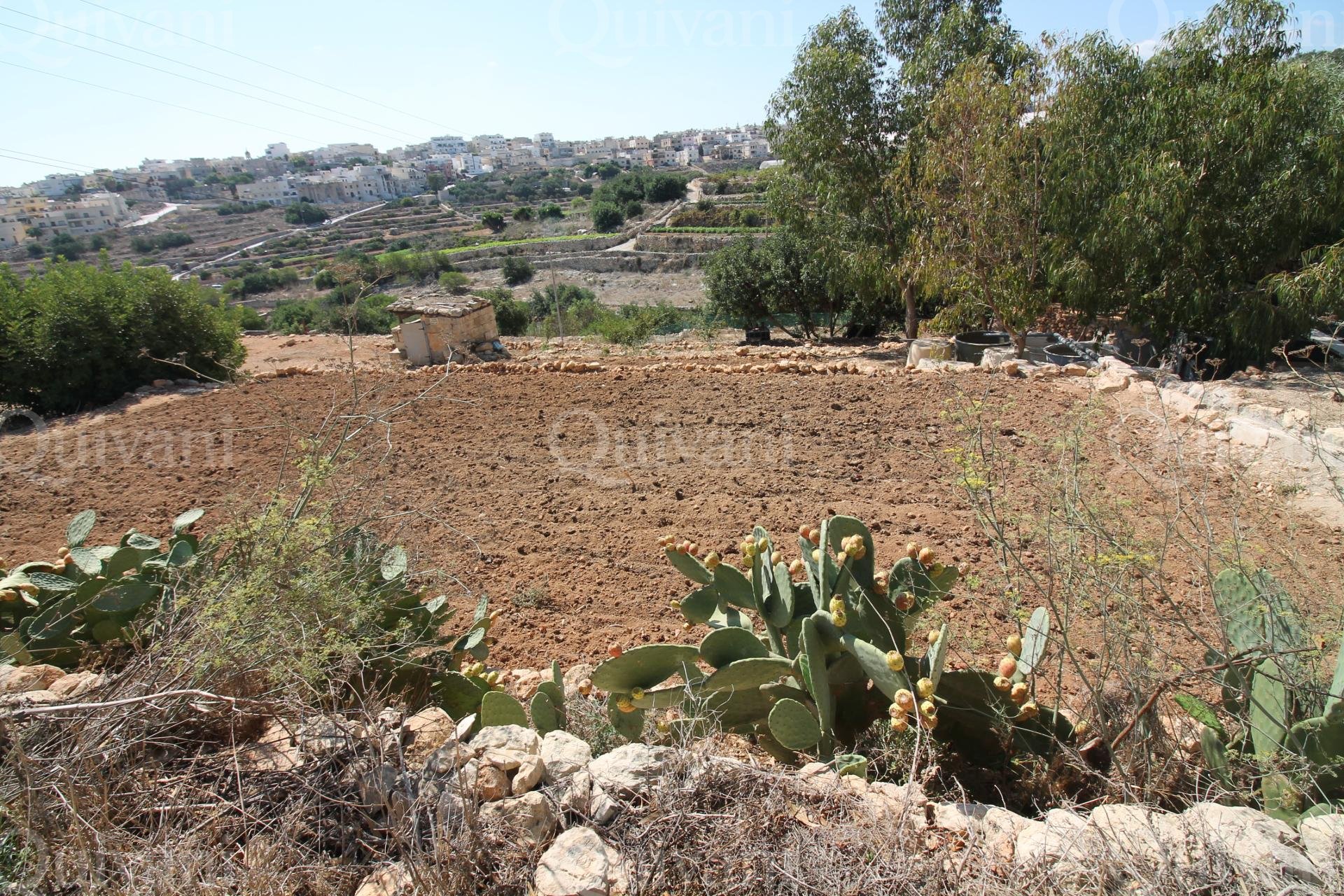 Agricultural Land