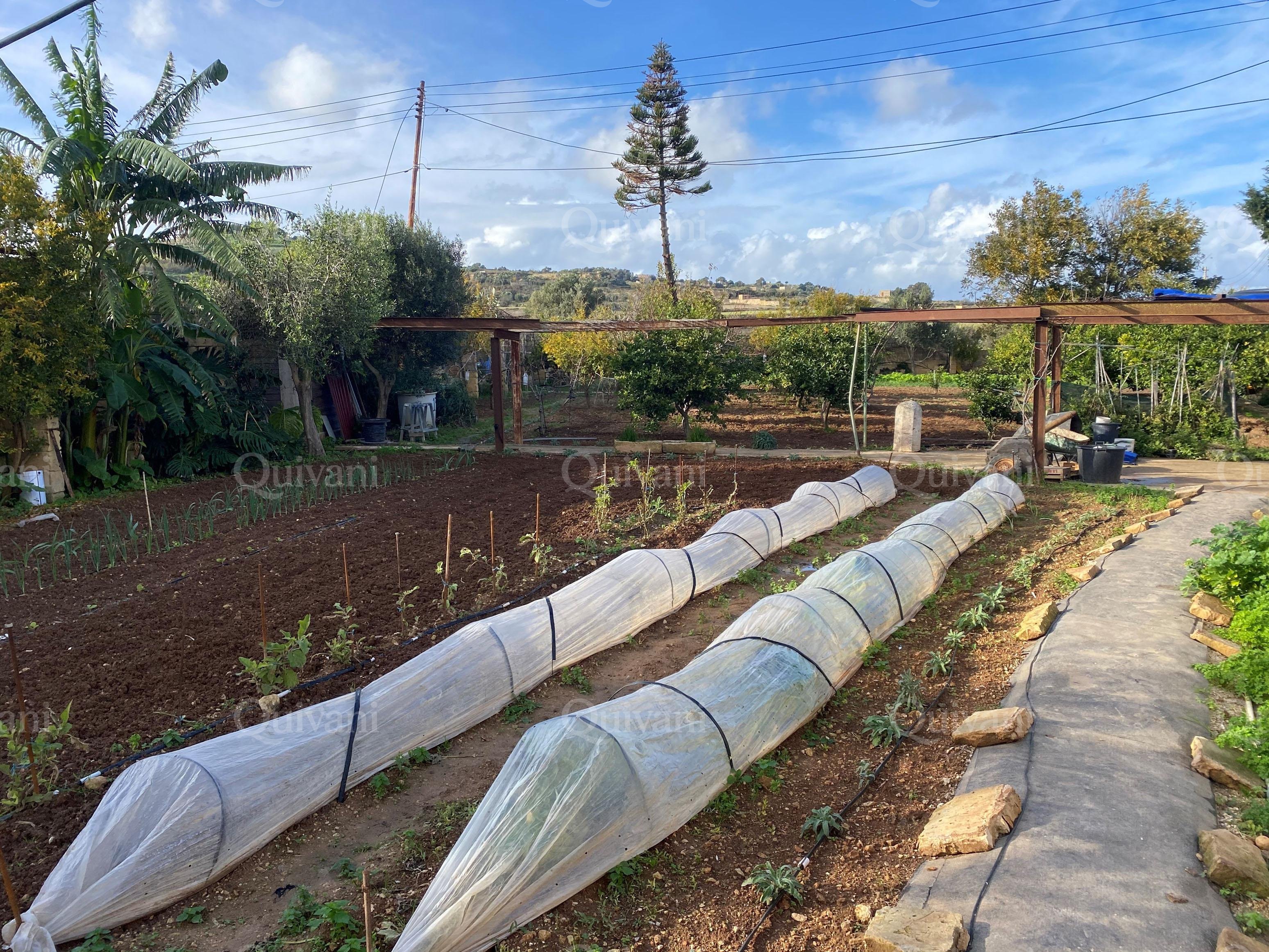 Rabat,  Agricultural Land