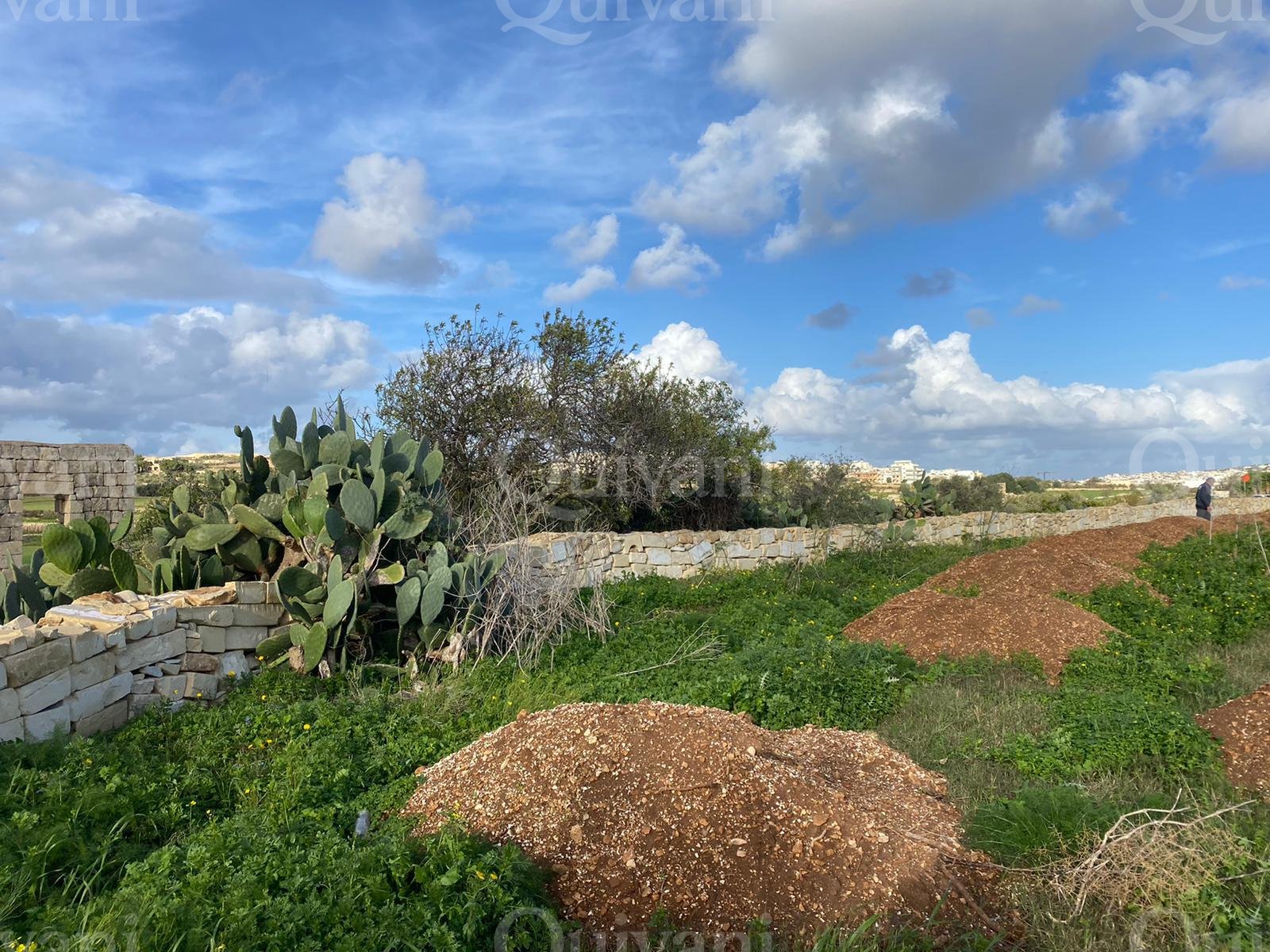 Mosta