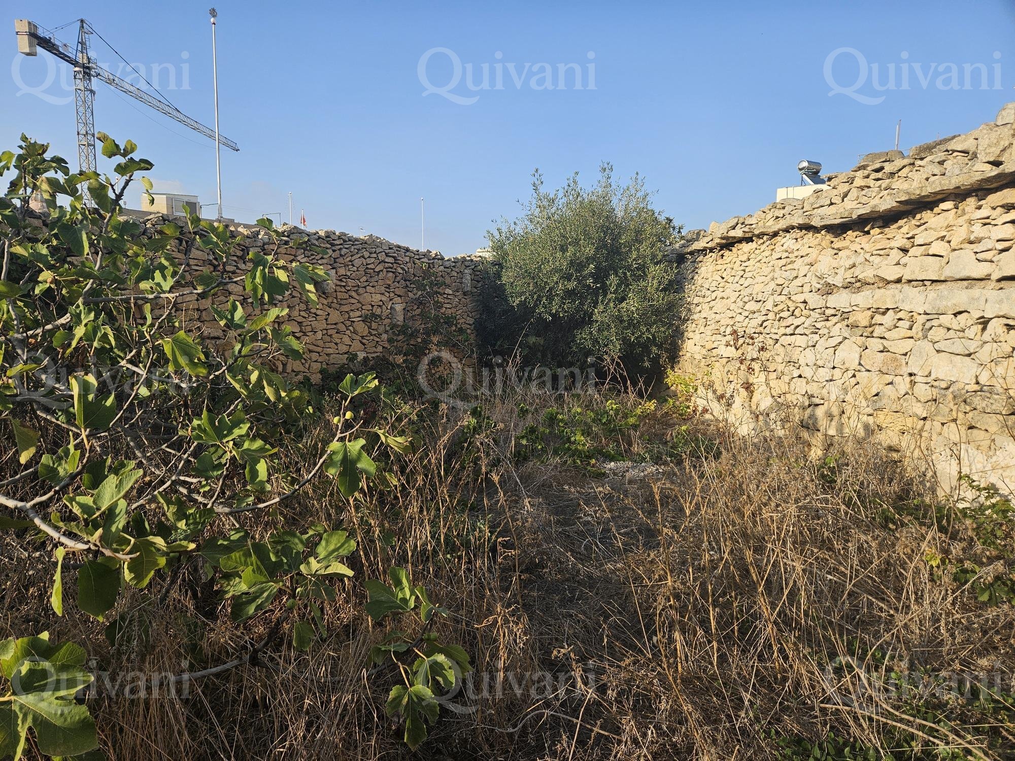 Zurrieq, Unconverted Palazzo