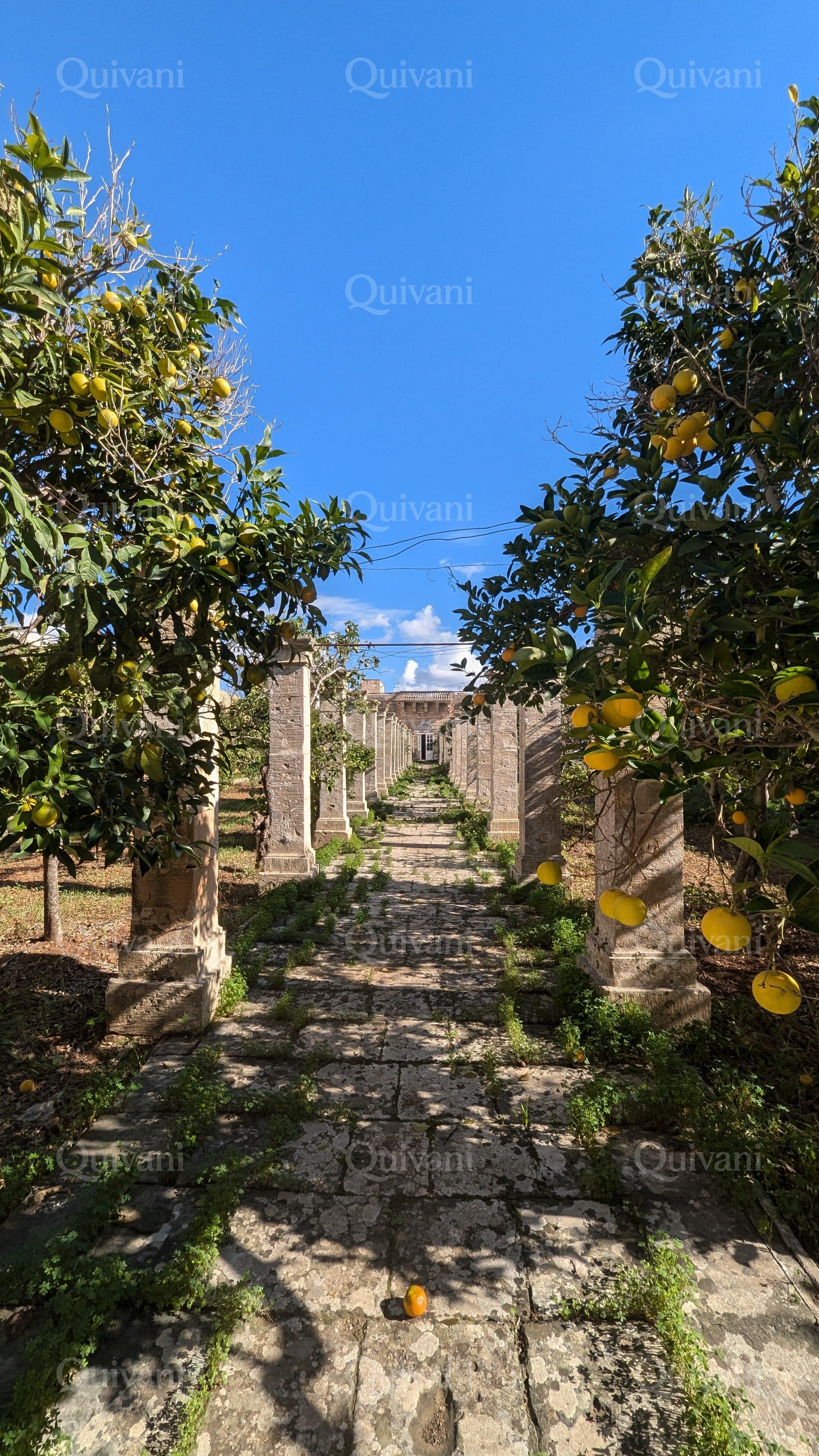 Zurrieq, Unconverted Palazzo