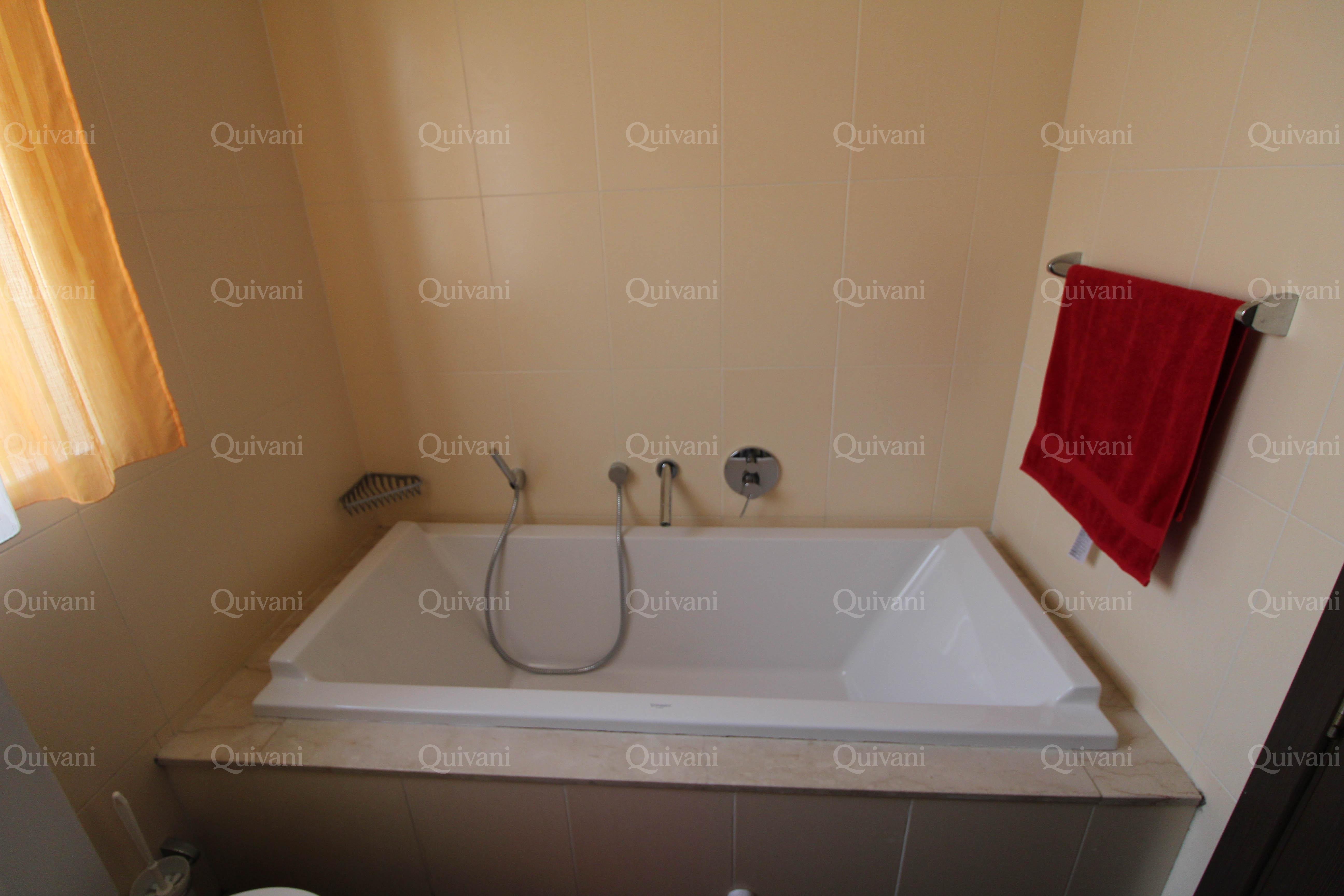 Birguma, Furnished Penthouse