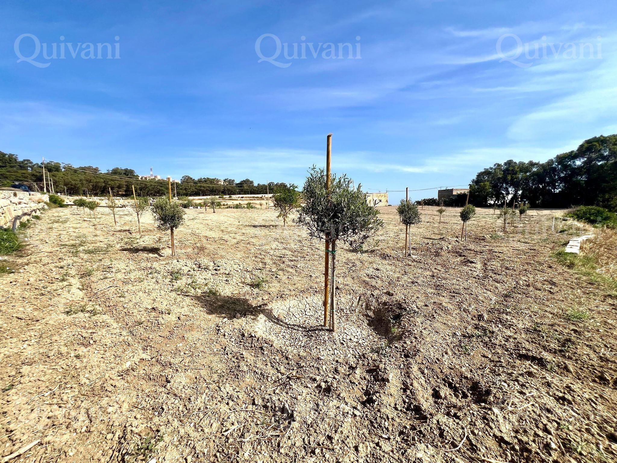 Rabat, Agricultural Land 1