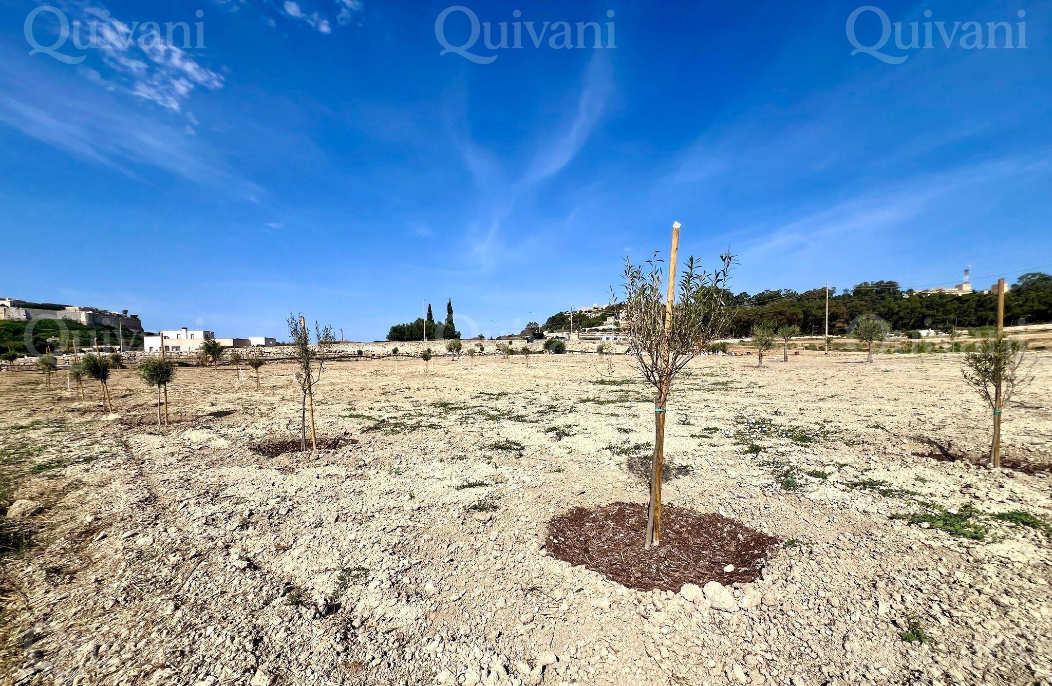 Rabat, Agricultural Land 1