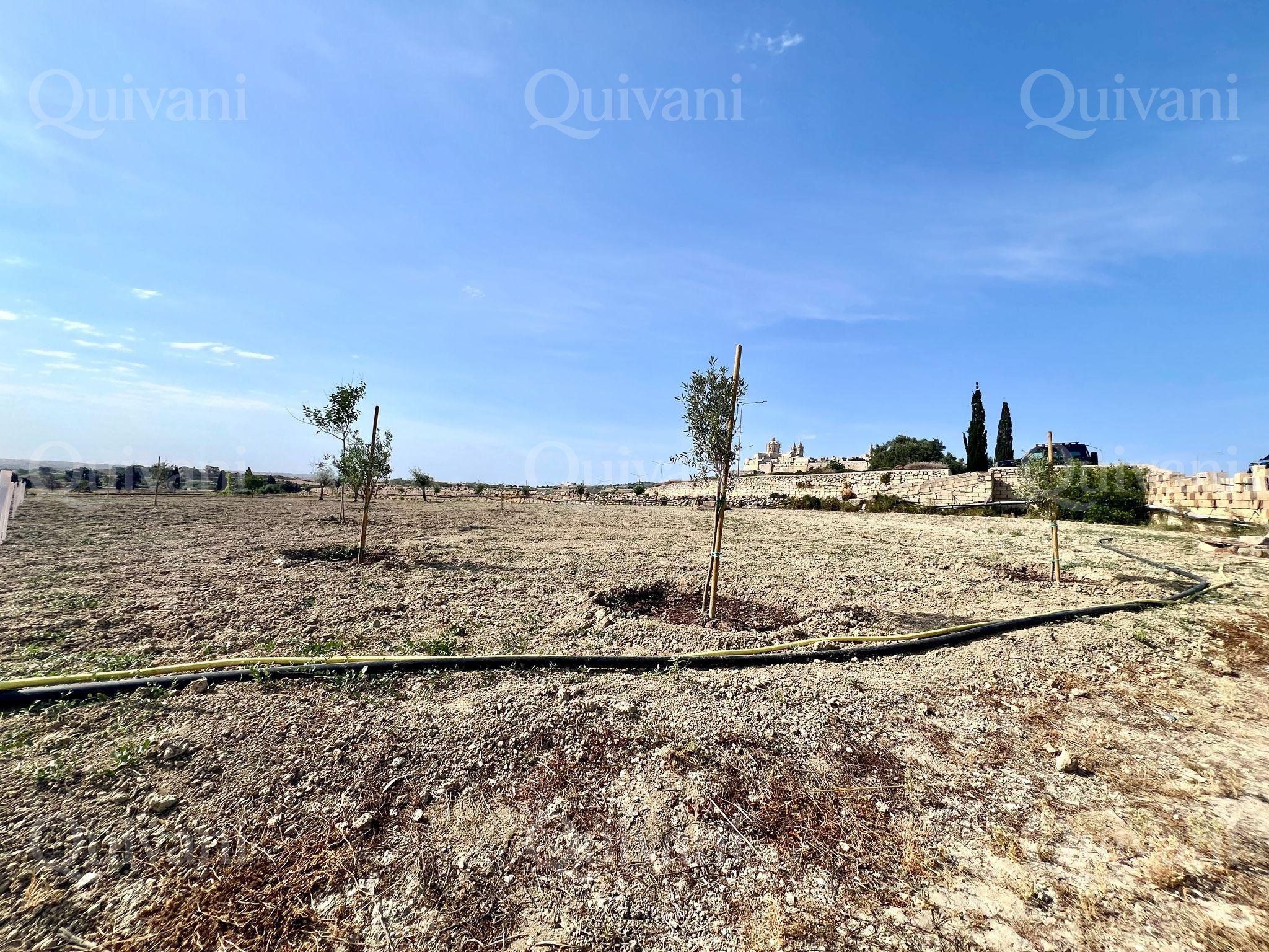 Rabat, Agricultural Land 1
