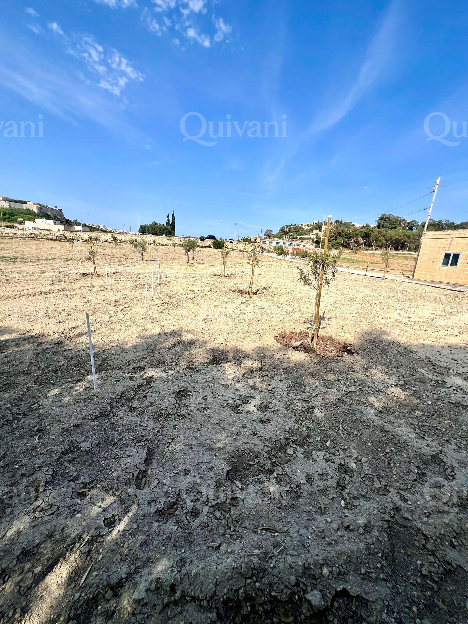 Rabat, Agricultural Land 1