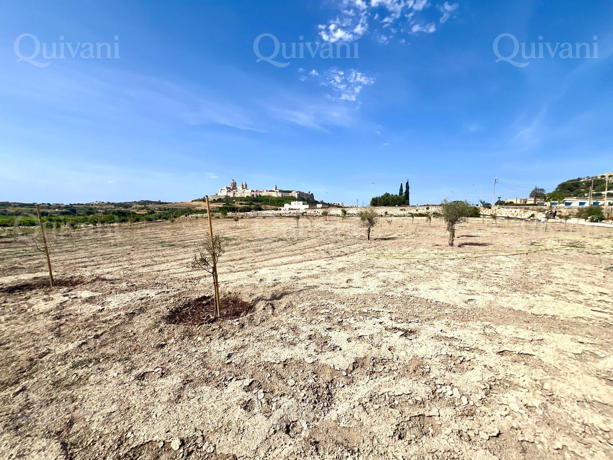 Rabat, Agricultural Land 2