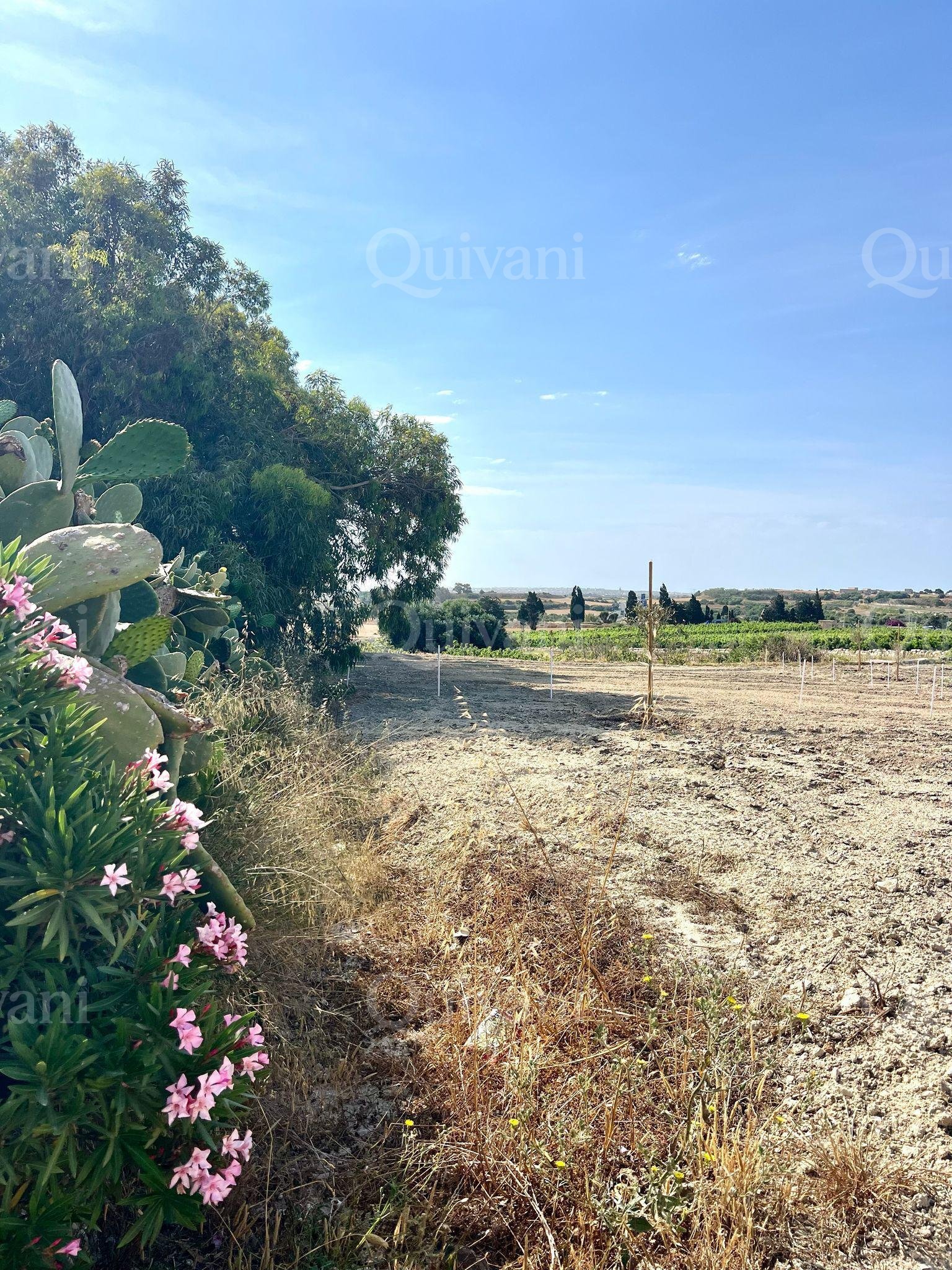 Rabat, Agricultural Land 2