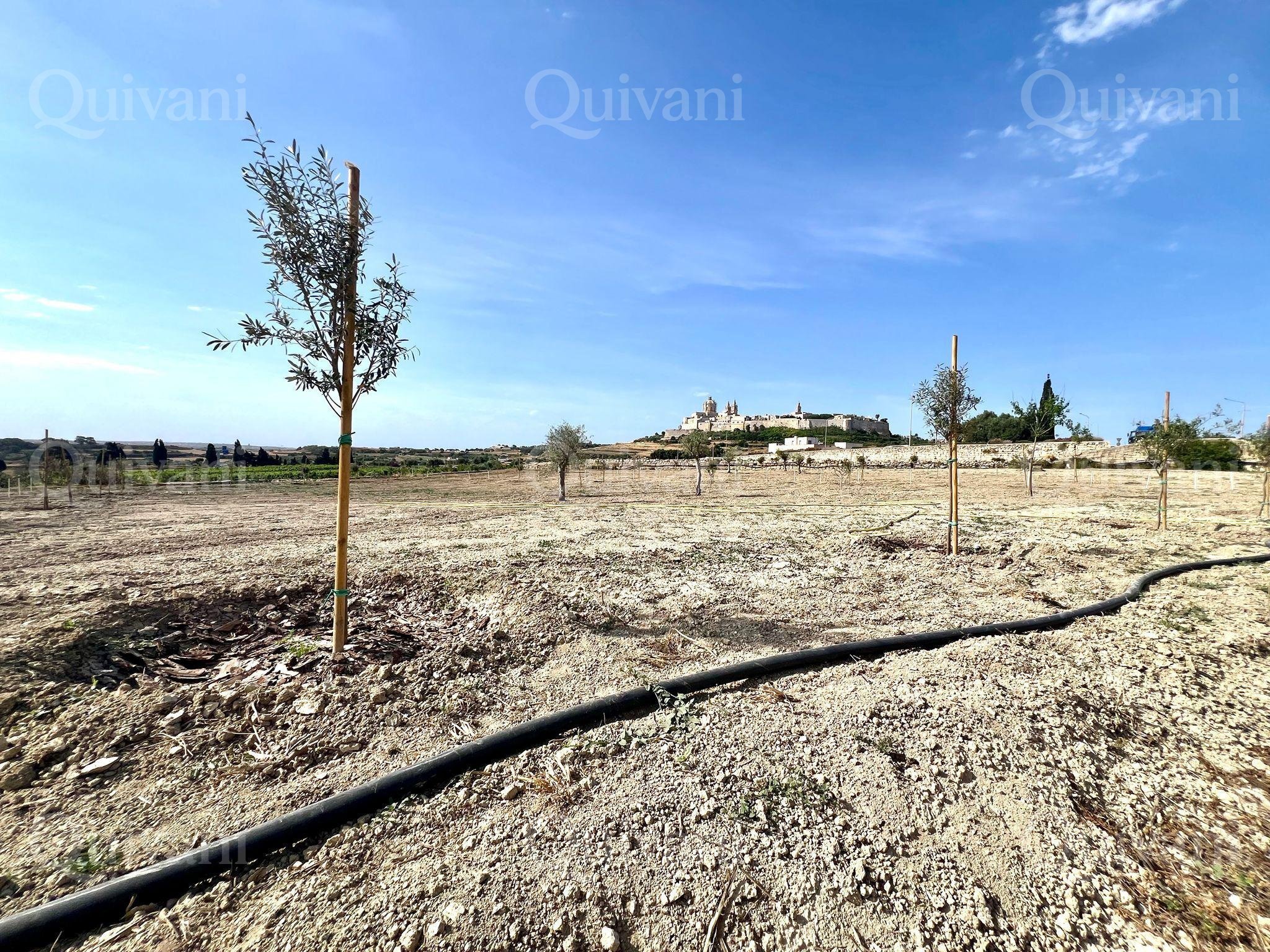 Rabat, Agricultural Land 2