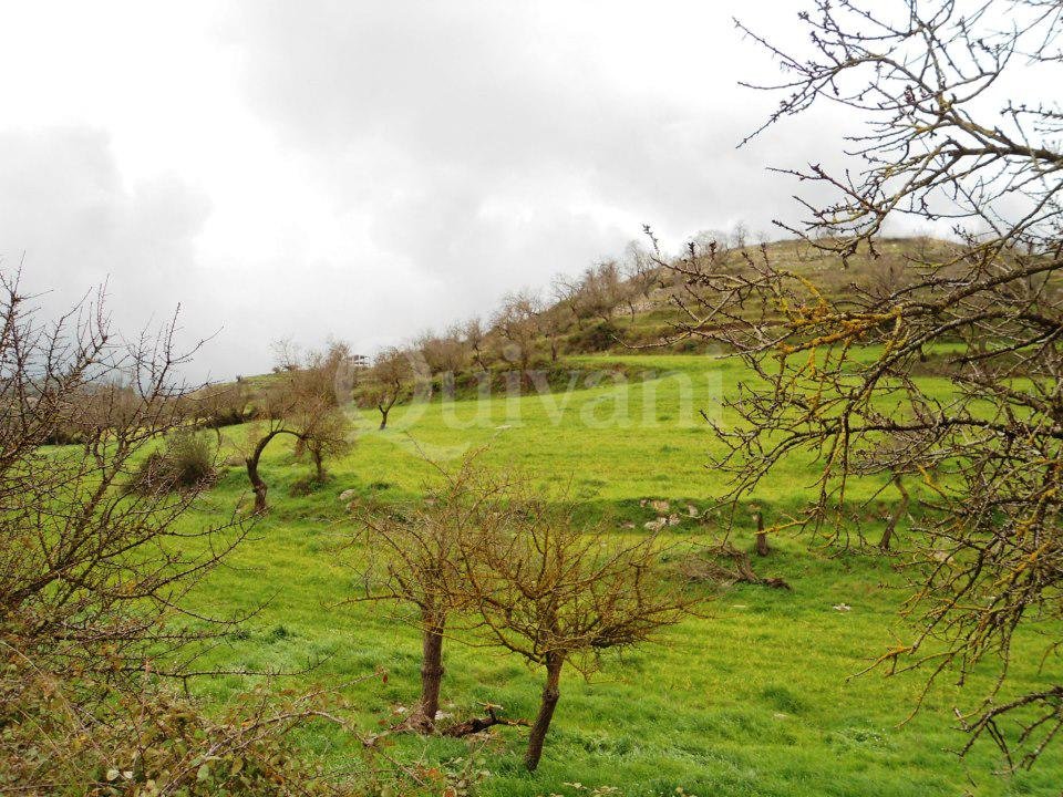 Sicily, Ragusa, n/a Agricultural Land