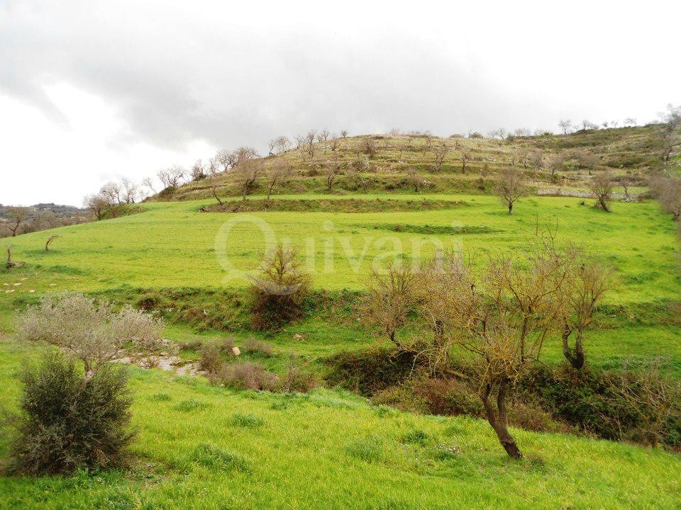 Sicily, Ragusa, n/a Agricultural Land
