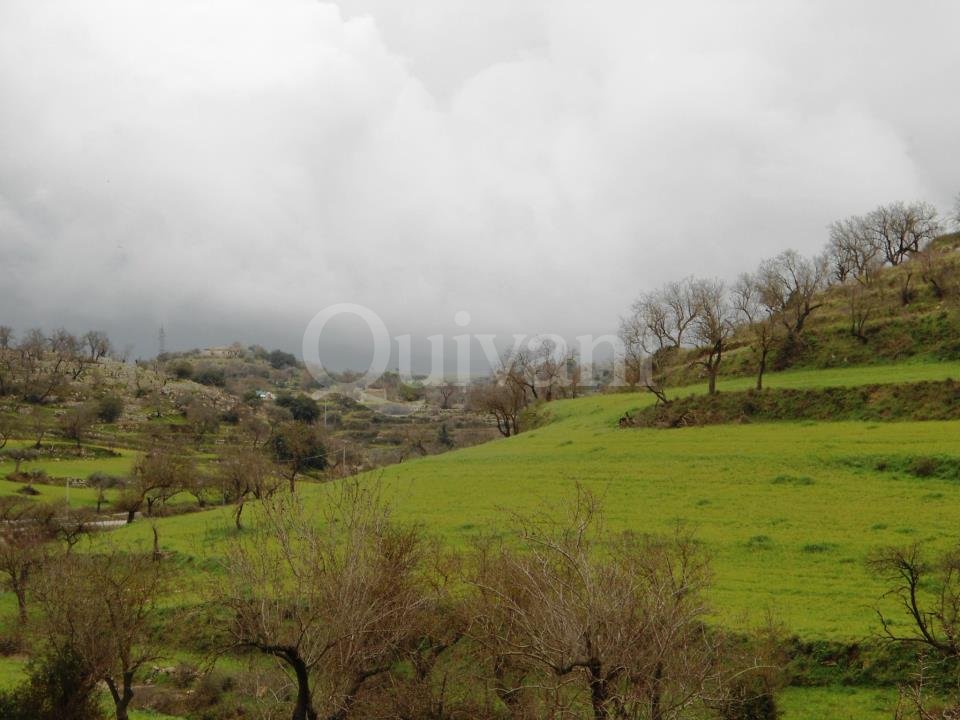 Sicily, Ragusa, n/a Agricultural Land