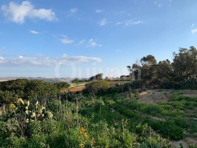 Bahrija Agricultural Land