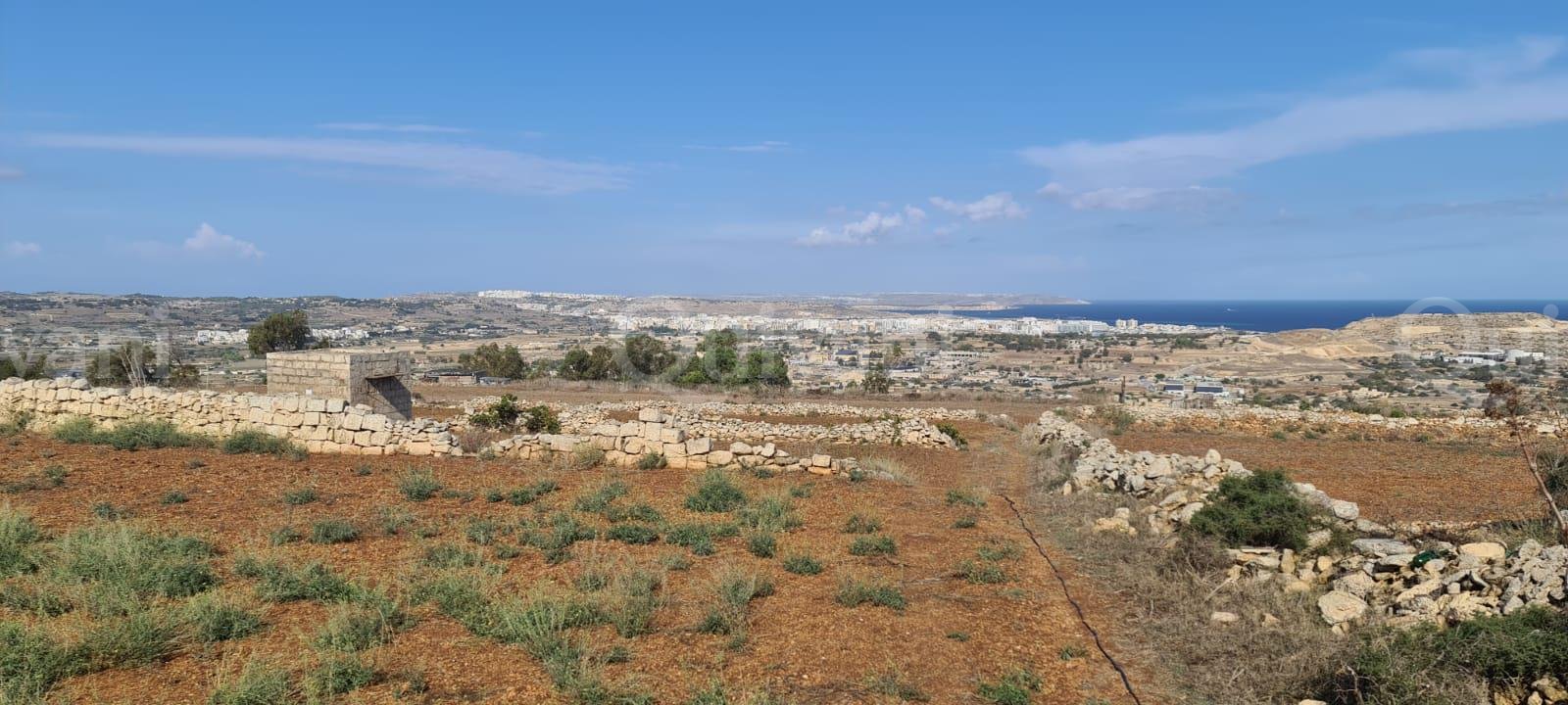 Gharghur Agricultural Land