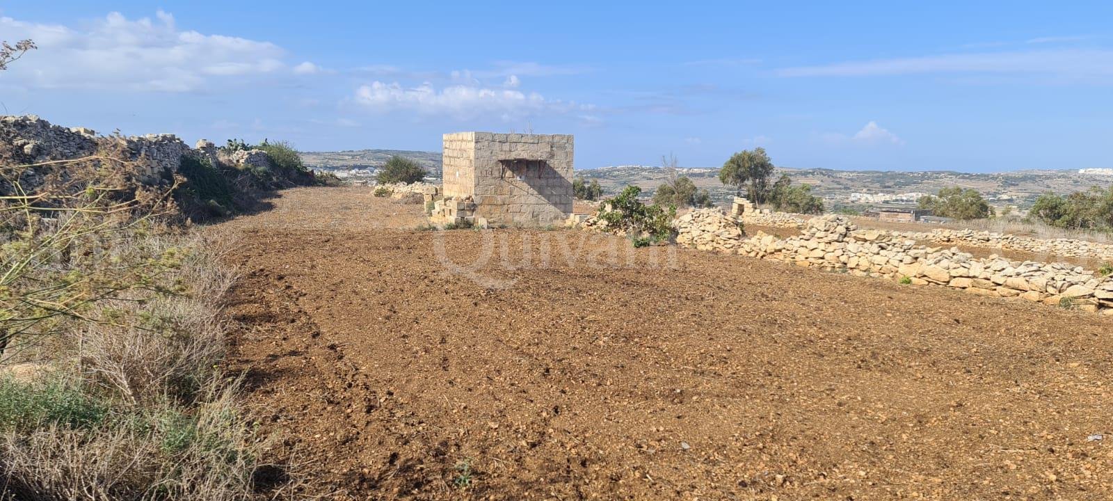 Gharghur Agricultural Land