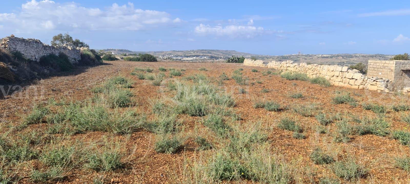 Gharghur Agricultural Land