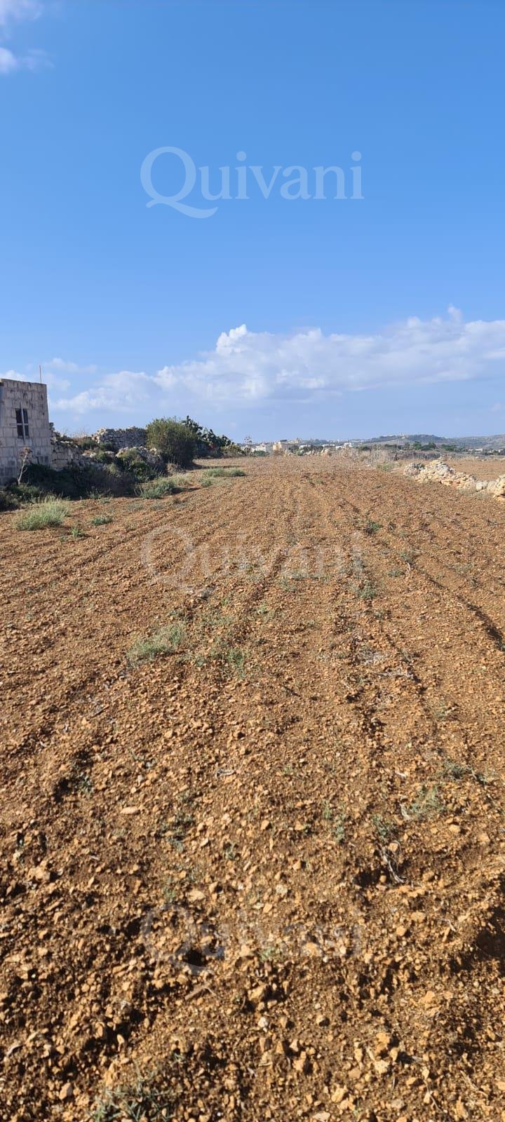 Gharghur Agricultural Land