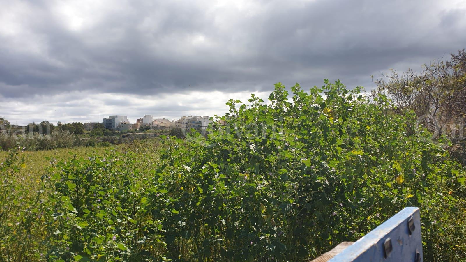 Zejtun Unconverted Farmhouse