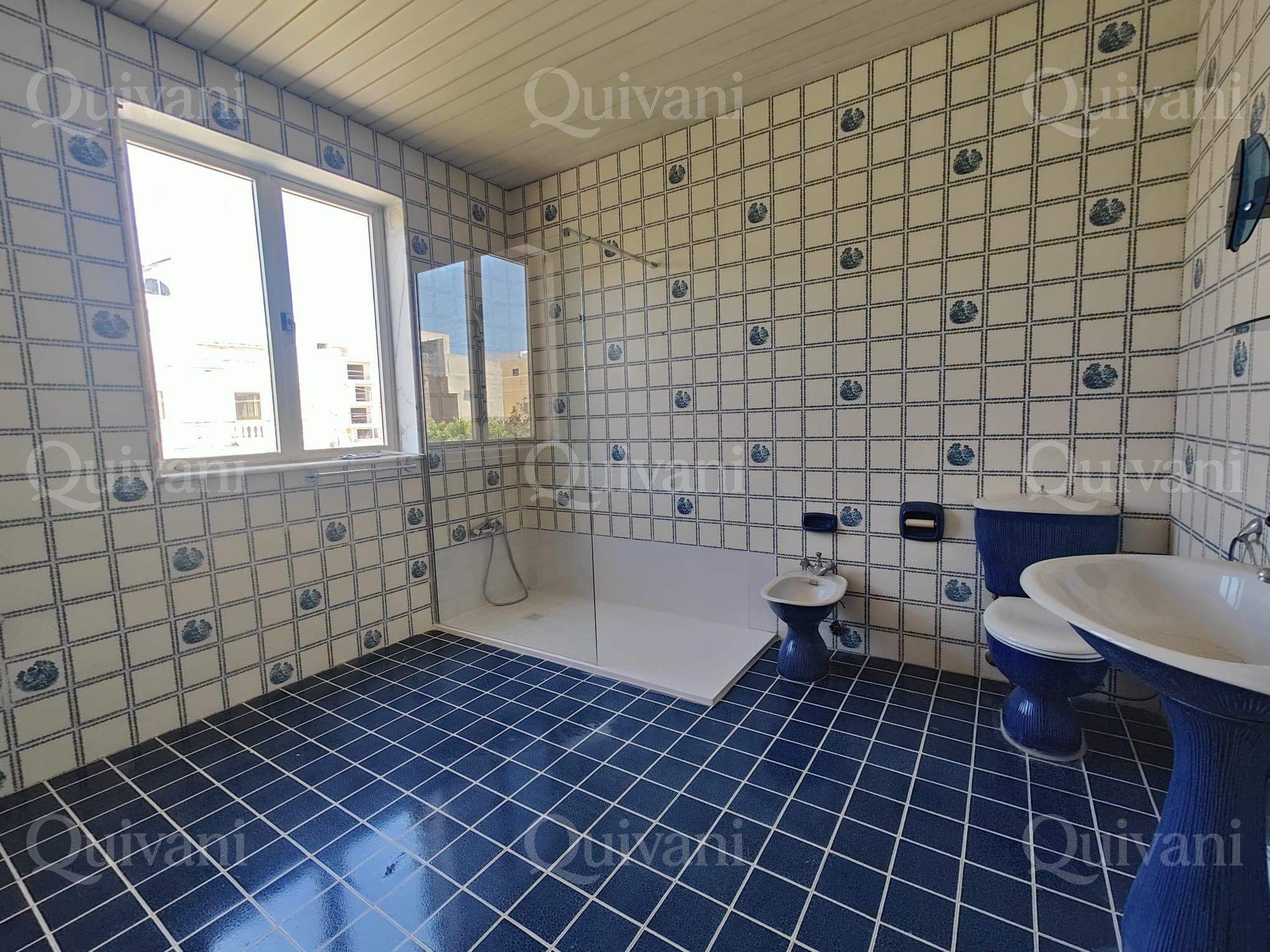 Attard Furnished Villa