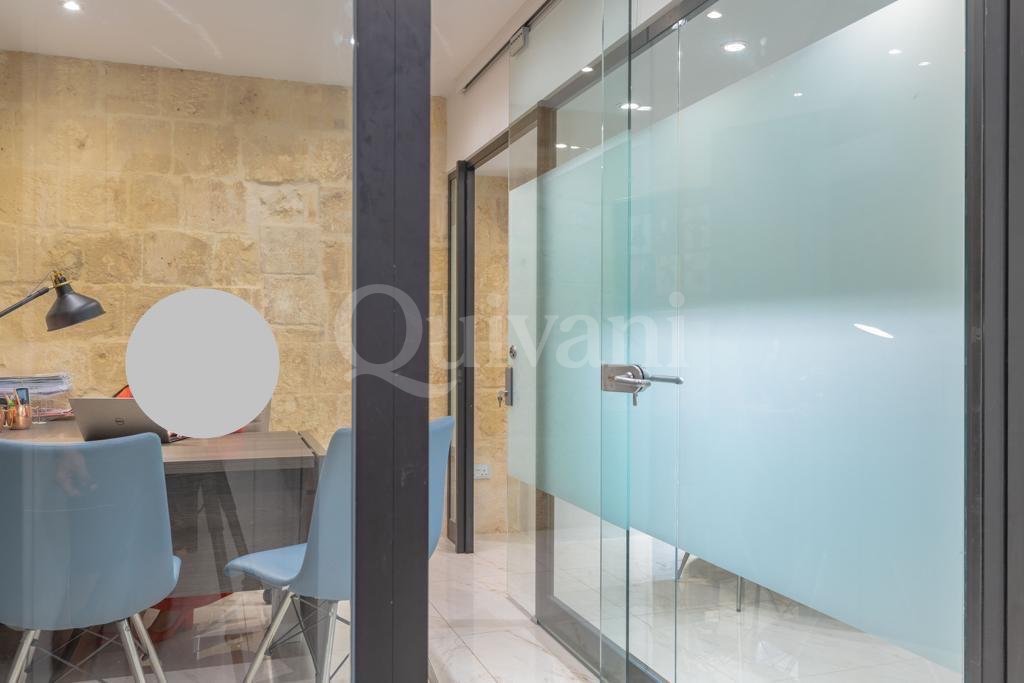 Valletta Fully Equipped Office