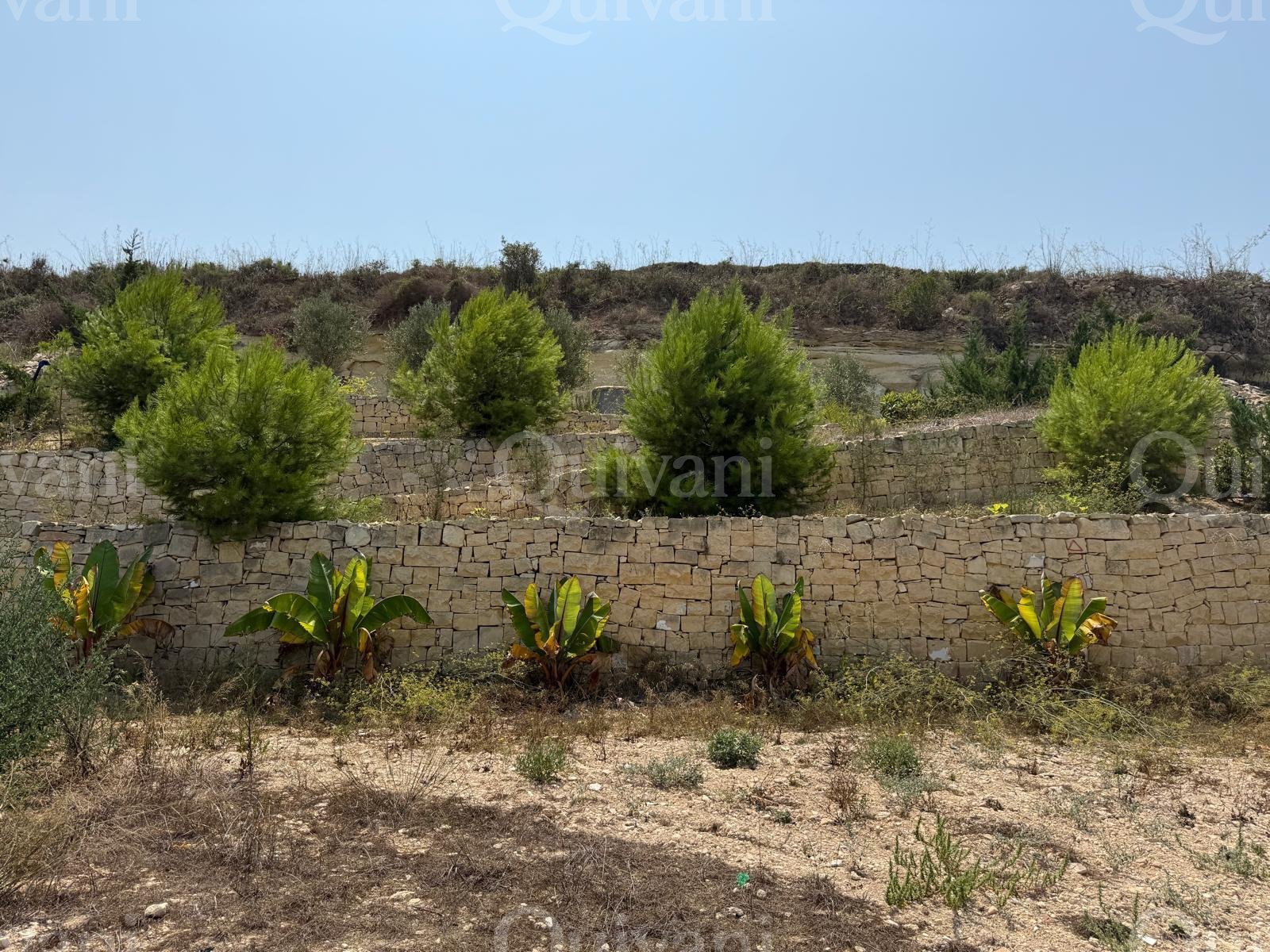 St Pauls Bay n/a Site (Residential)