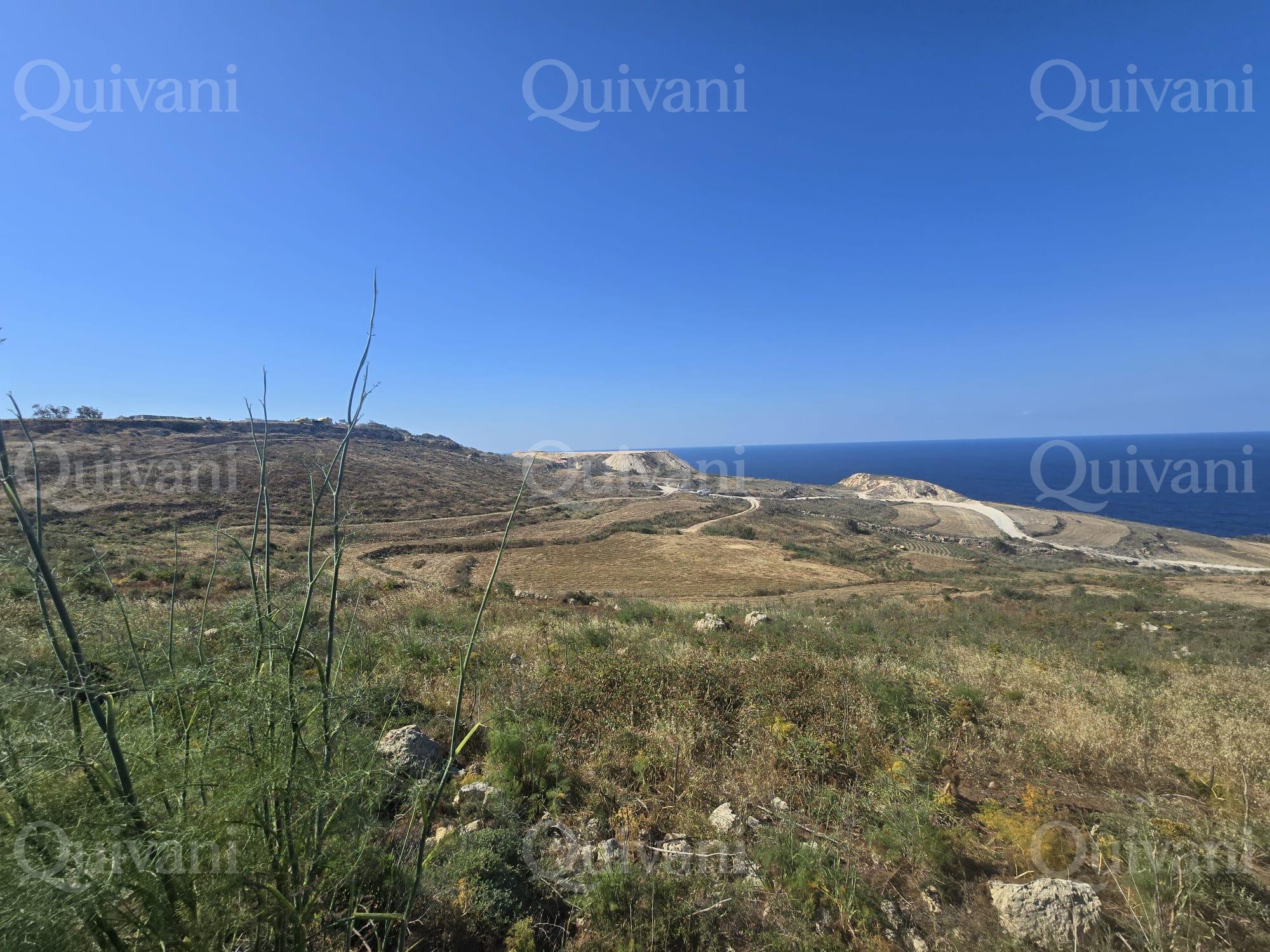 Qala Agricultural Land