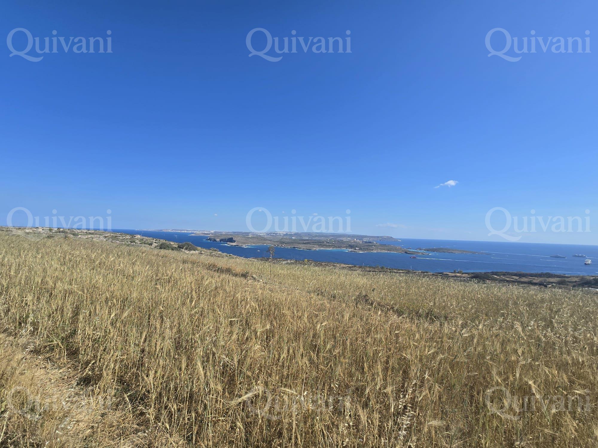 Qala Agricultural Land
