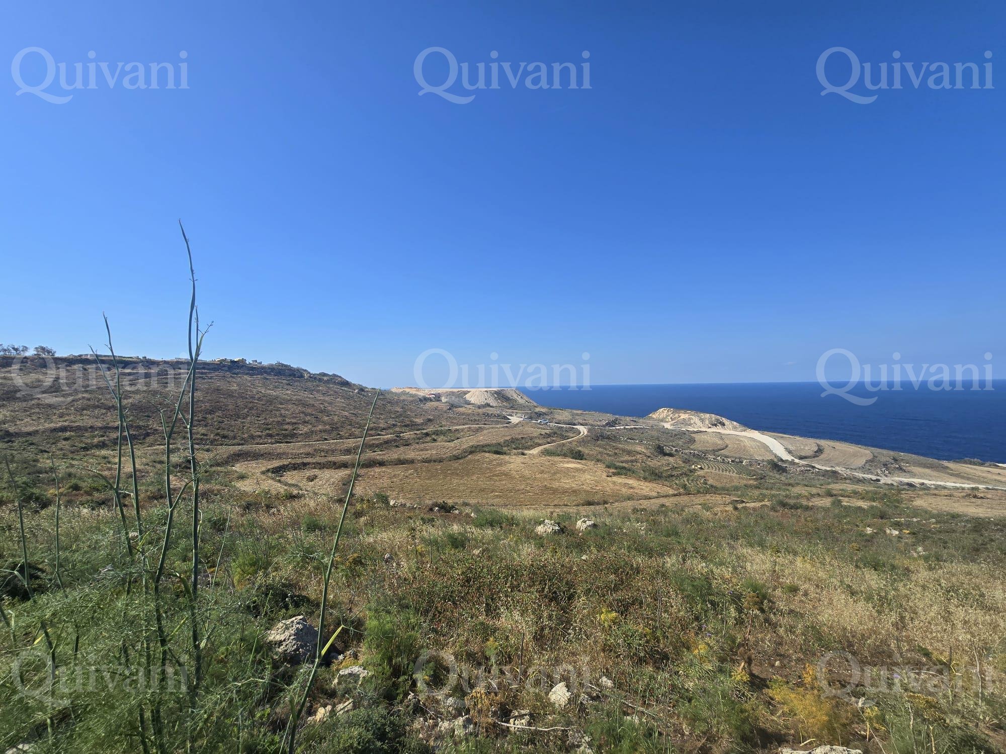 Qala Agricultural Land