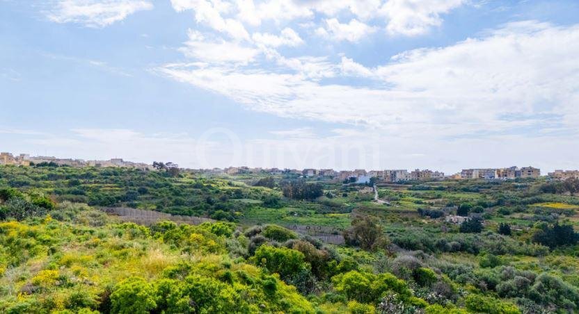 Nadur Shell form Apartment