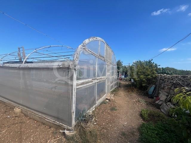 Zabbar Unconverted House of Character