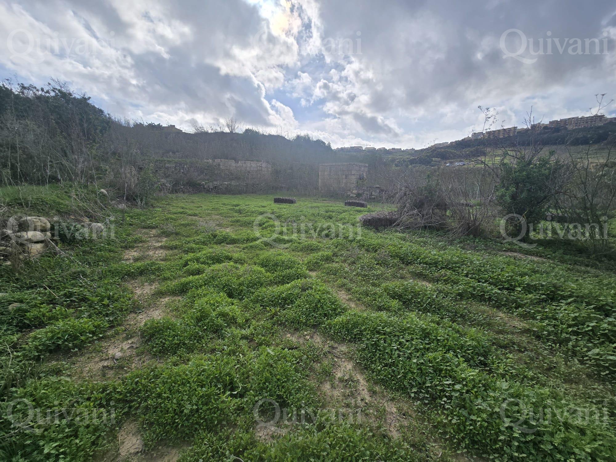 Nadur n/a Agricultural Land